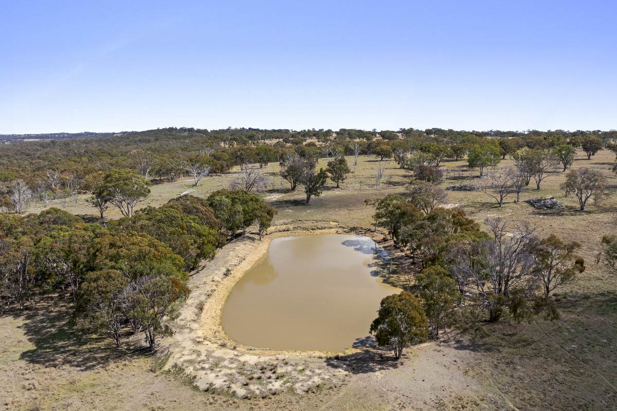 1953 Rabbit Fence Road, Dalveen For Sale by Farmbuy.com - image 18
