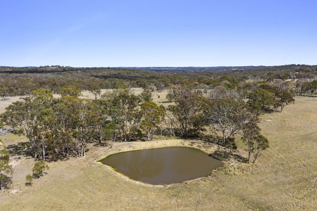 1953 Rabbit Fence Road, Dalveen For Sale by Farmbuy.com - image 17