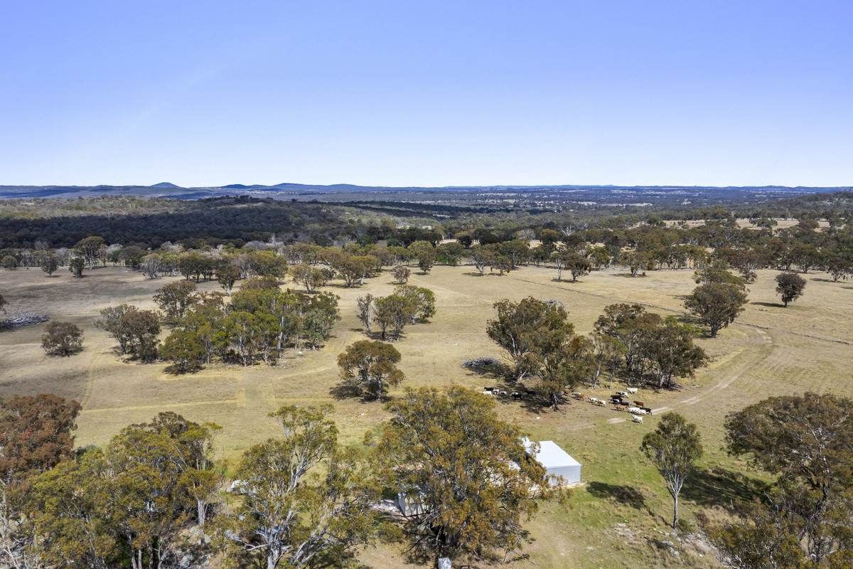 1953 Rabbit Fence Road, Dalveen For Sale by Farmbuy.com - image 16