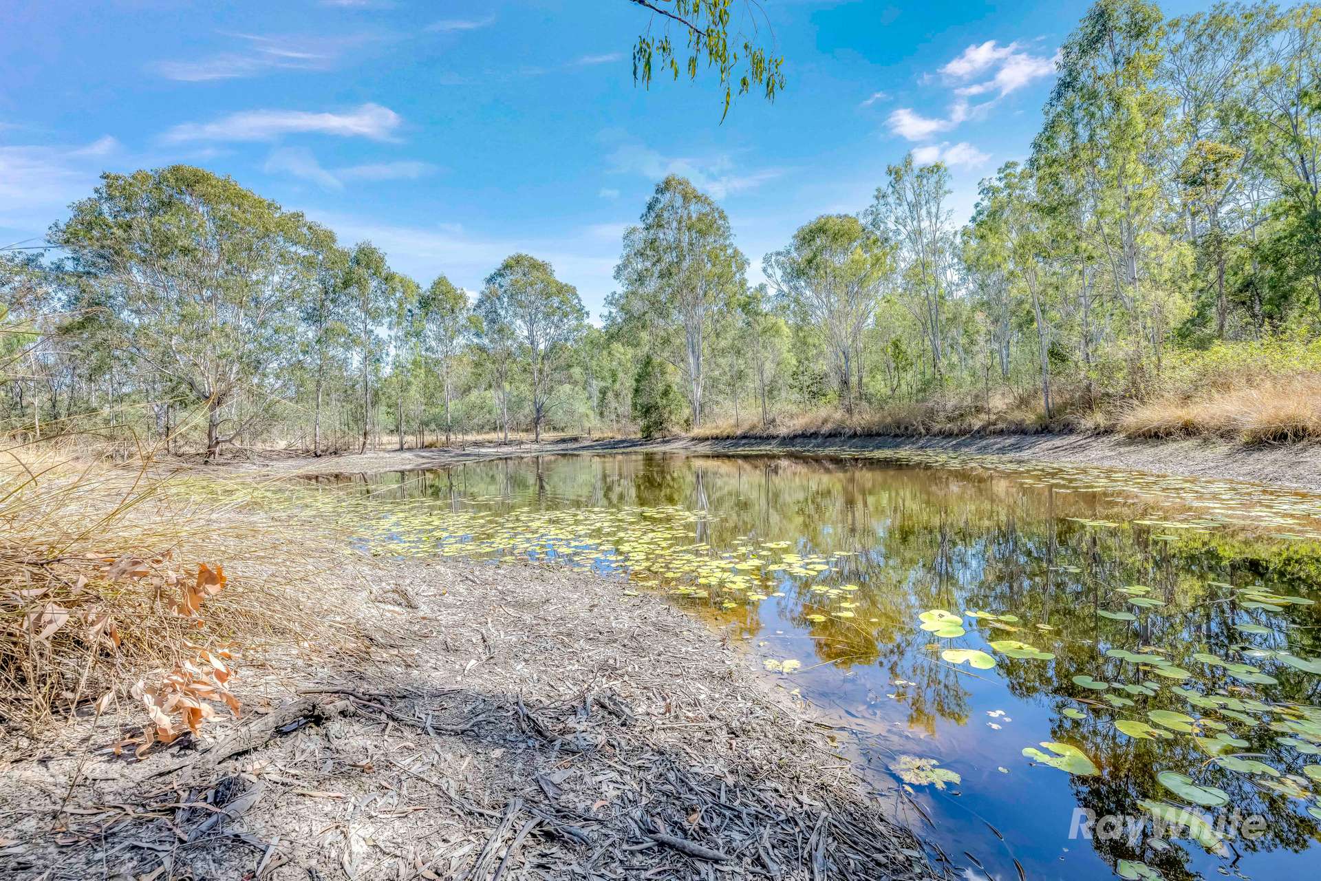 796 Gin Gin - Mount Perry Road, Moolboolaman For Sale by Farmbuy.com - image 26