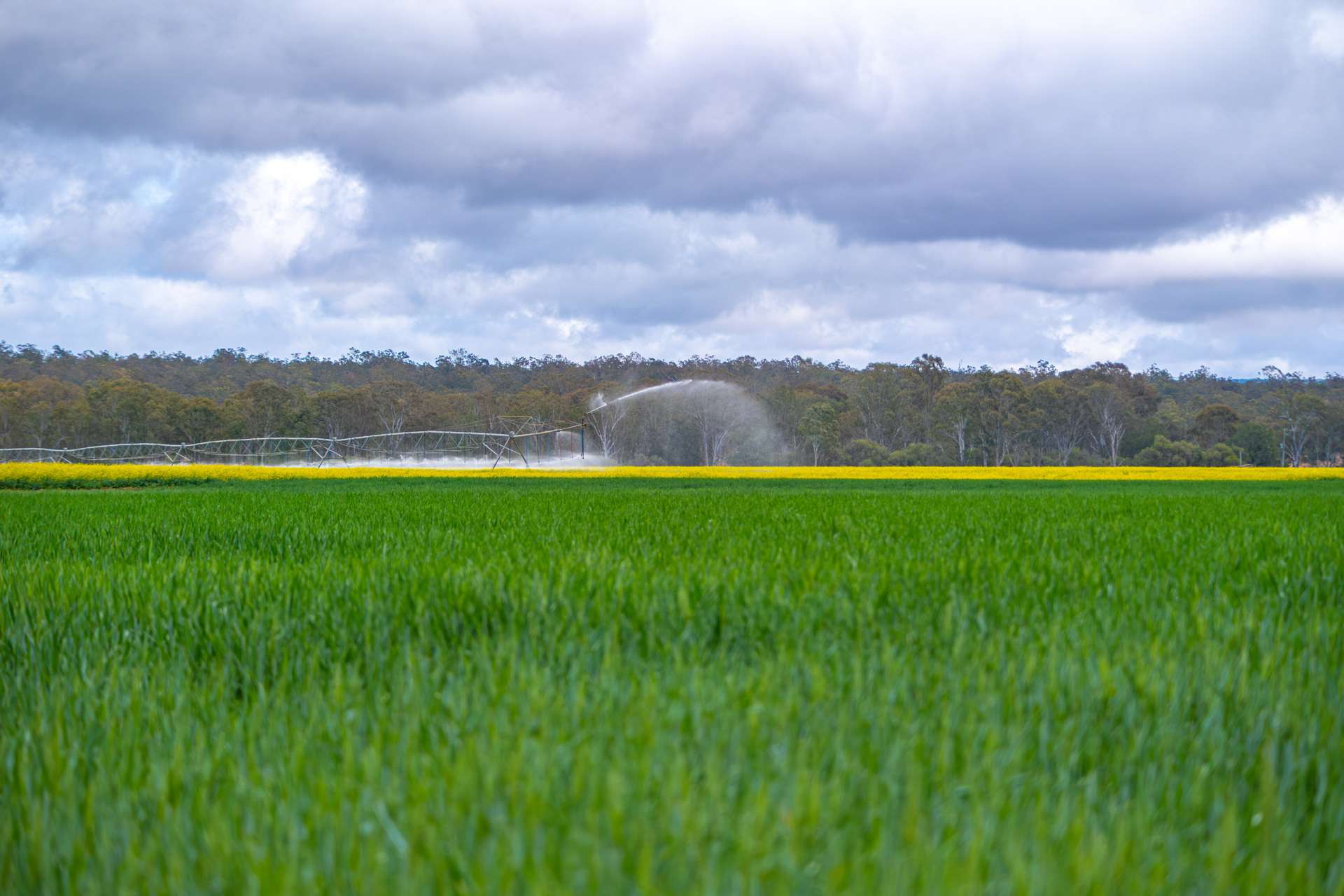 33 Remingtons Road, Wooroonden For Sale by Farmbuy.com - image 3