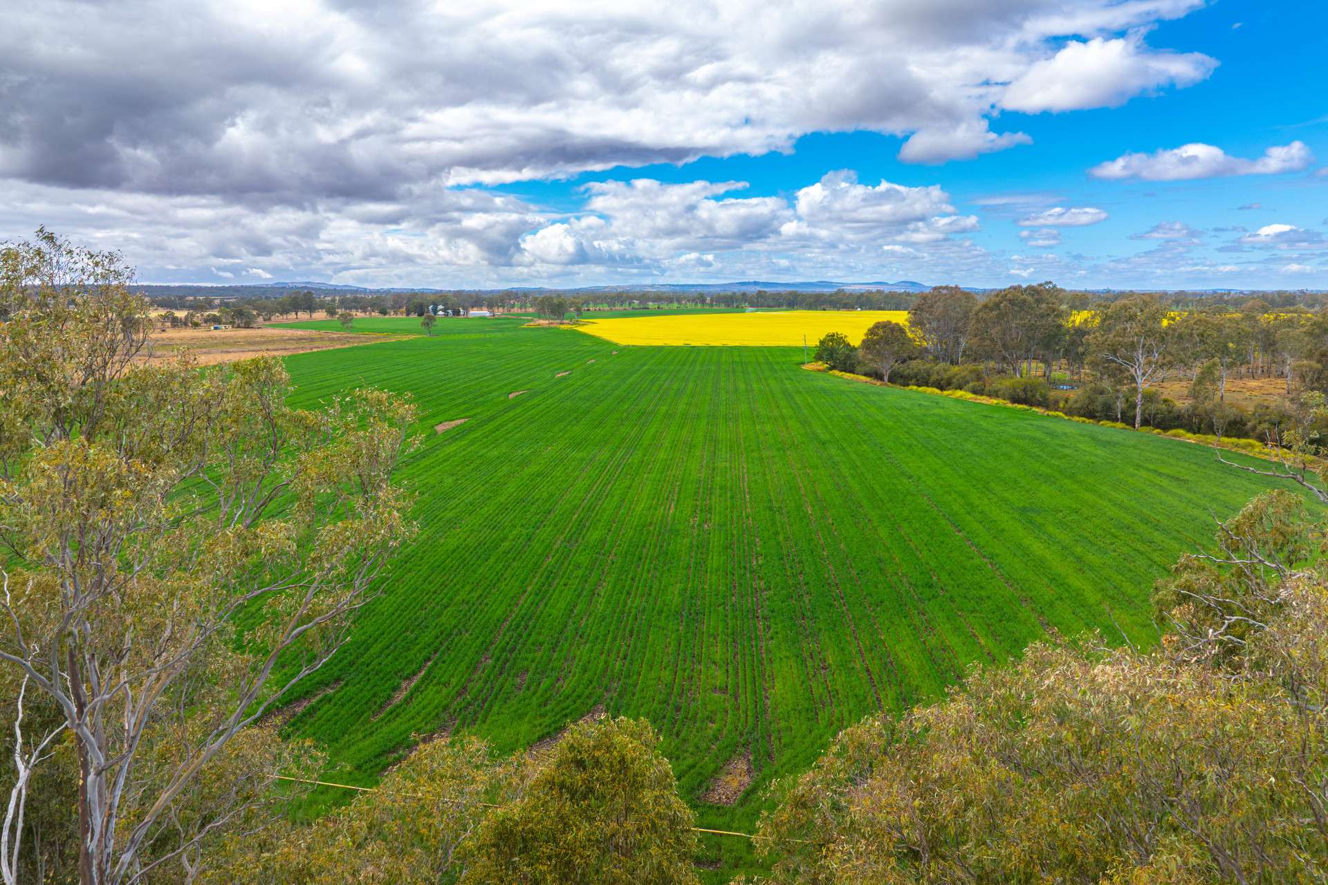 33 Remingtons Road, Wooroonden For Sale by Farmbuy.com - image 23