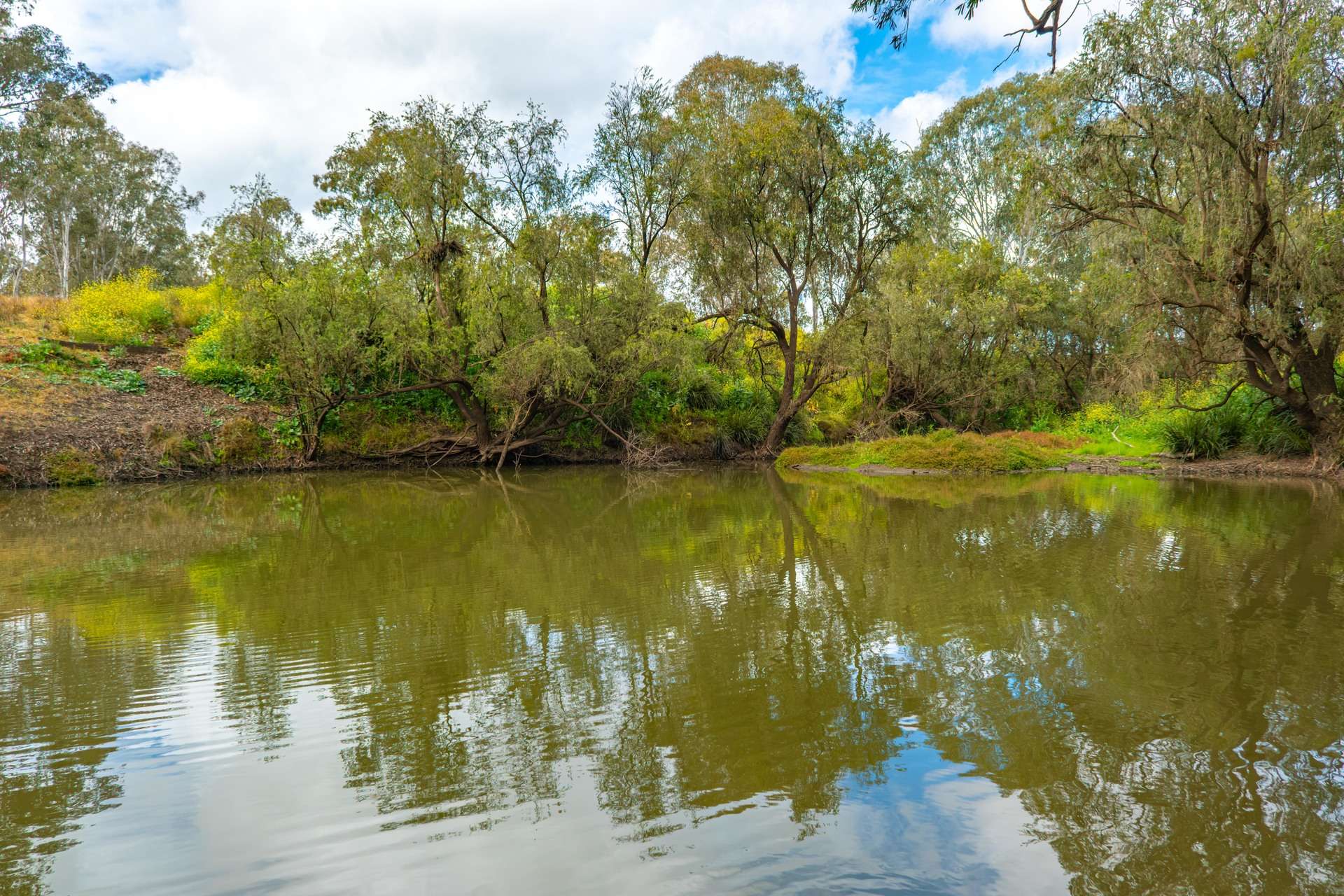 33 Remingtons Road, Wooroonden For Sale by Farmbuy.com - image 31