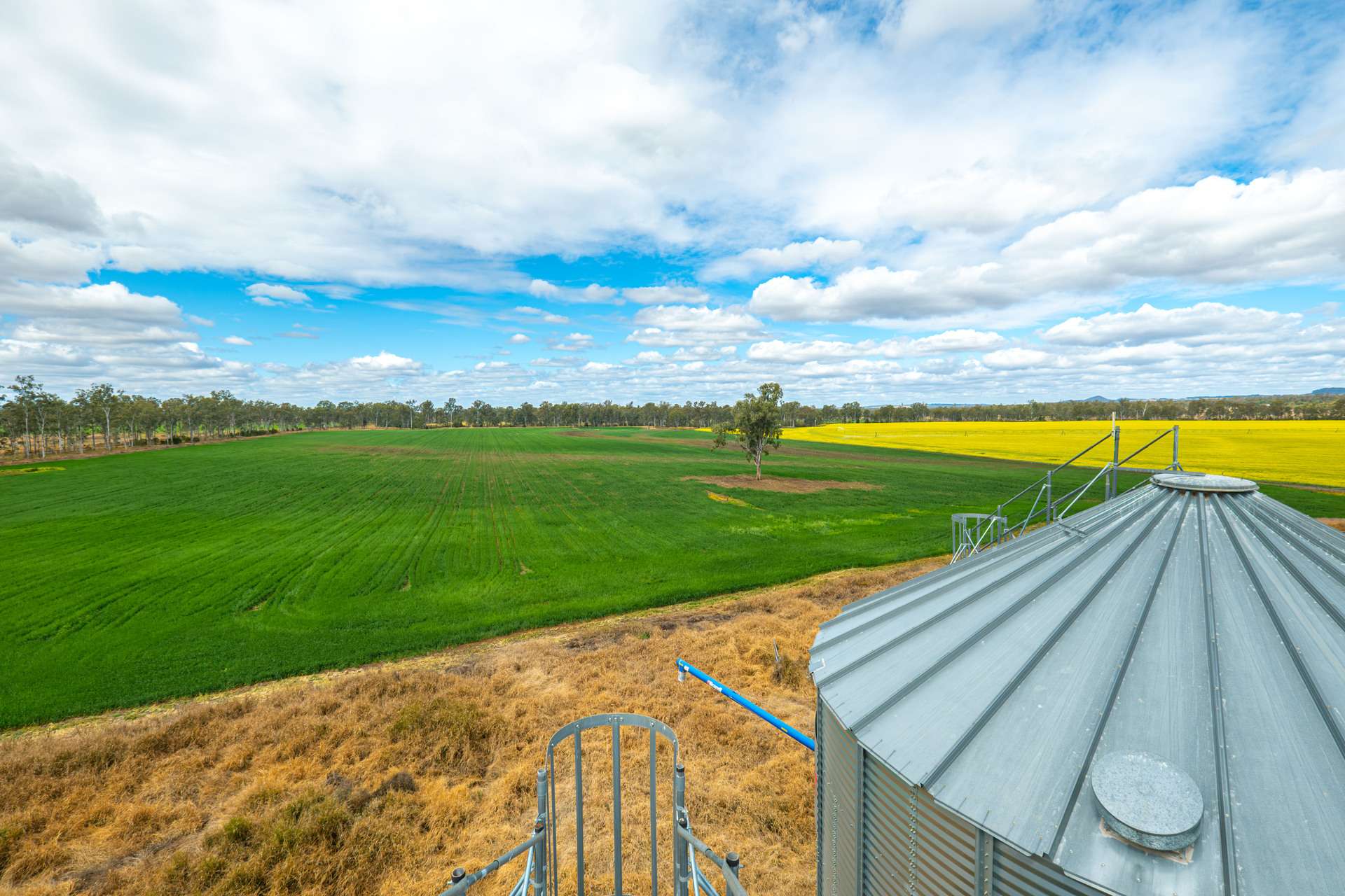 33 Remingtons Road, Wooroonden For Sale by Farmbuy.com - image 5