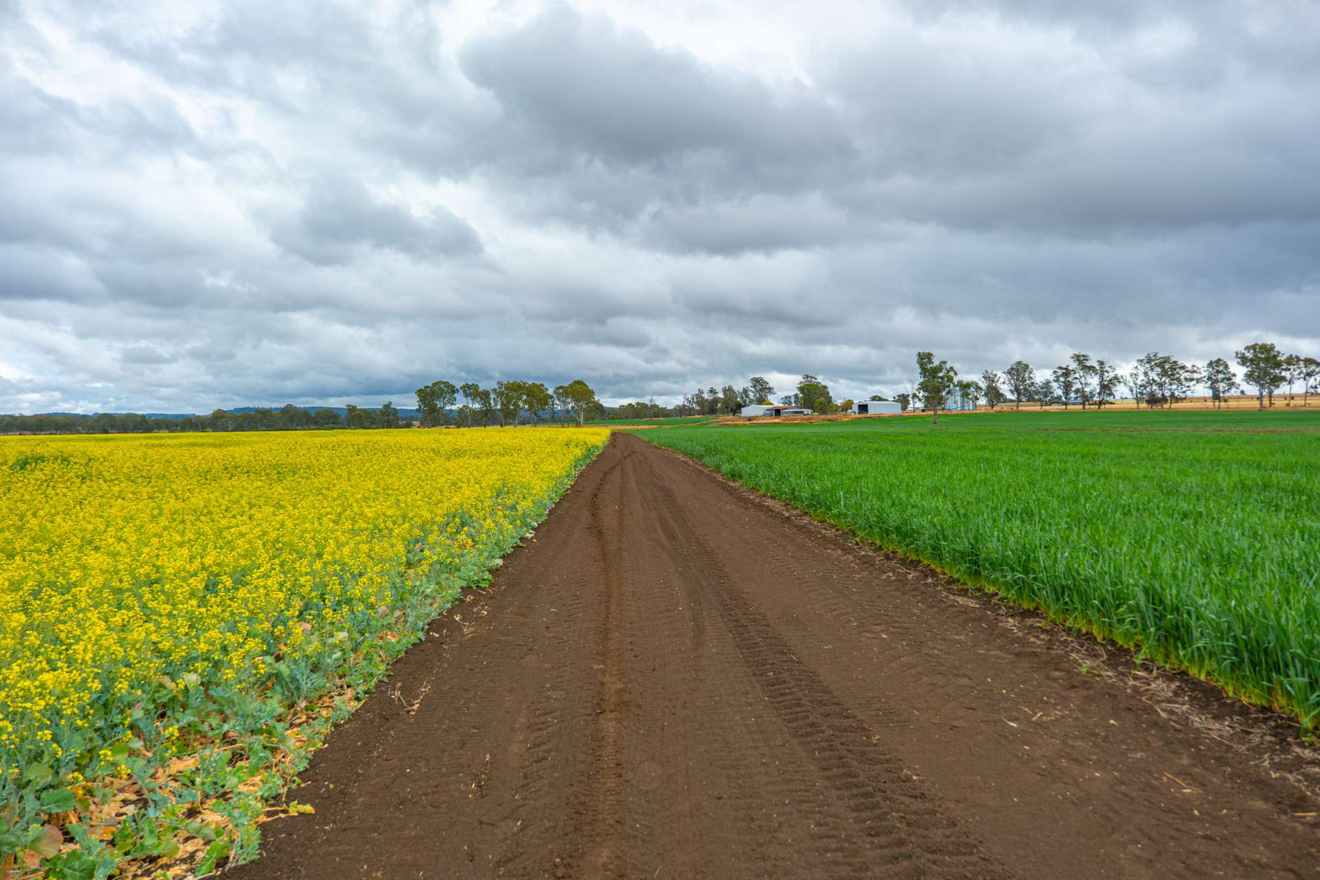 33 Remingtons Road, Wooroonden For Sale by Farmbuy.com - image 28