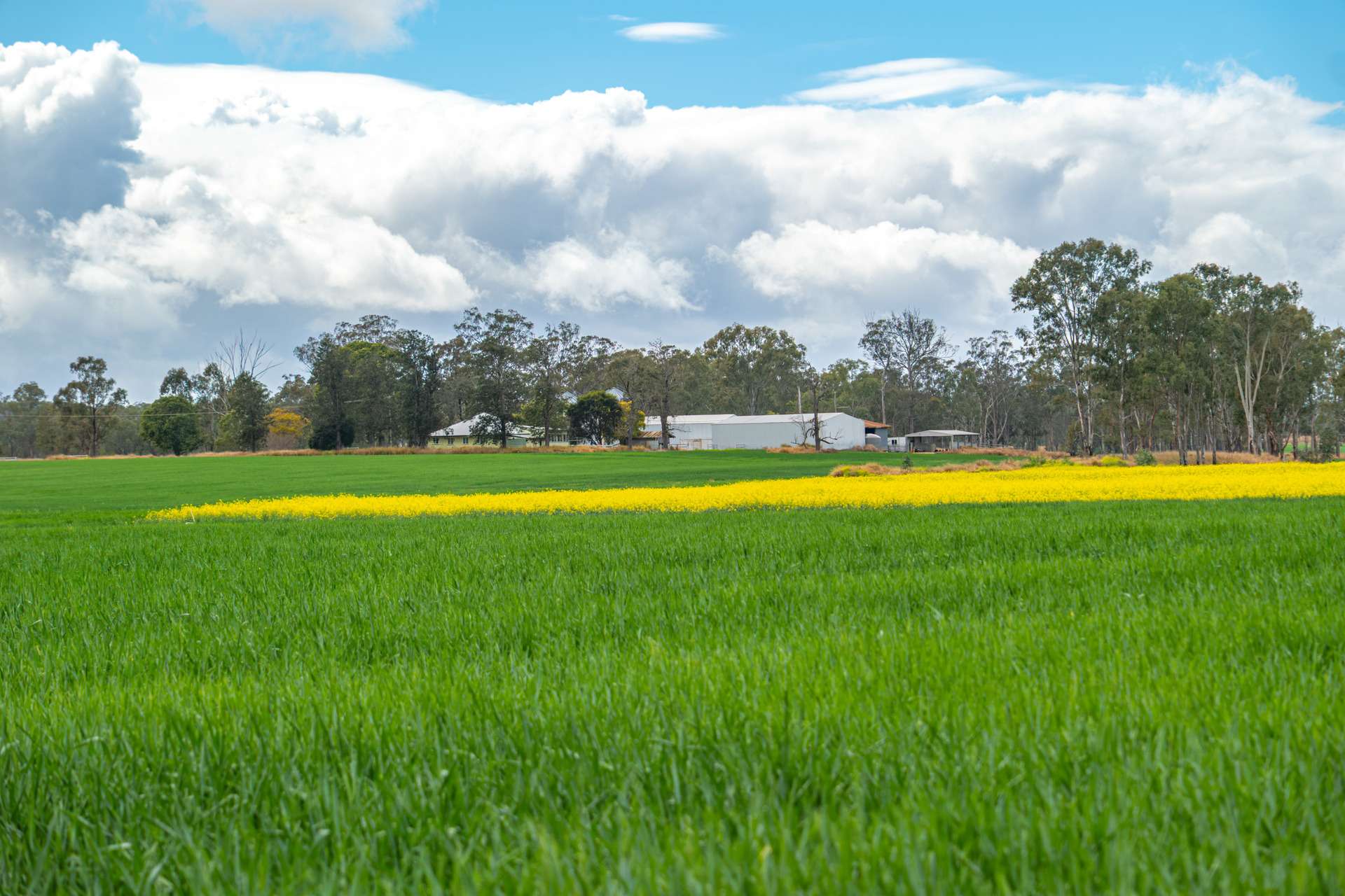 33 Remingtons Road, Wooroonden For Sale by Farmbuy.com - image 30