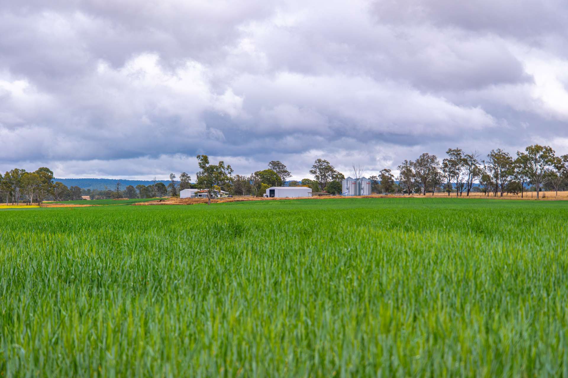 33 Remingtons Road, Wooroonden For Sale by Farmbuy.com - image 29
