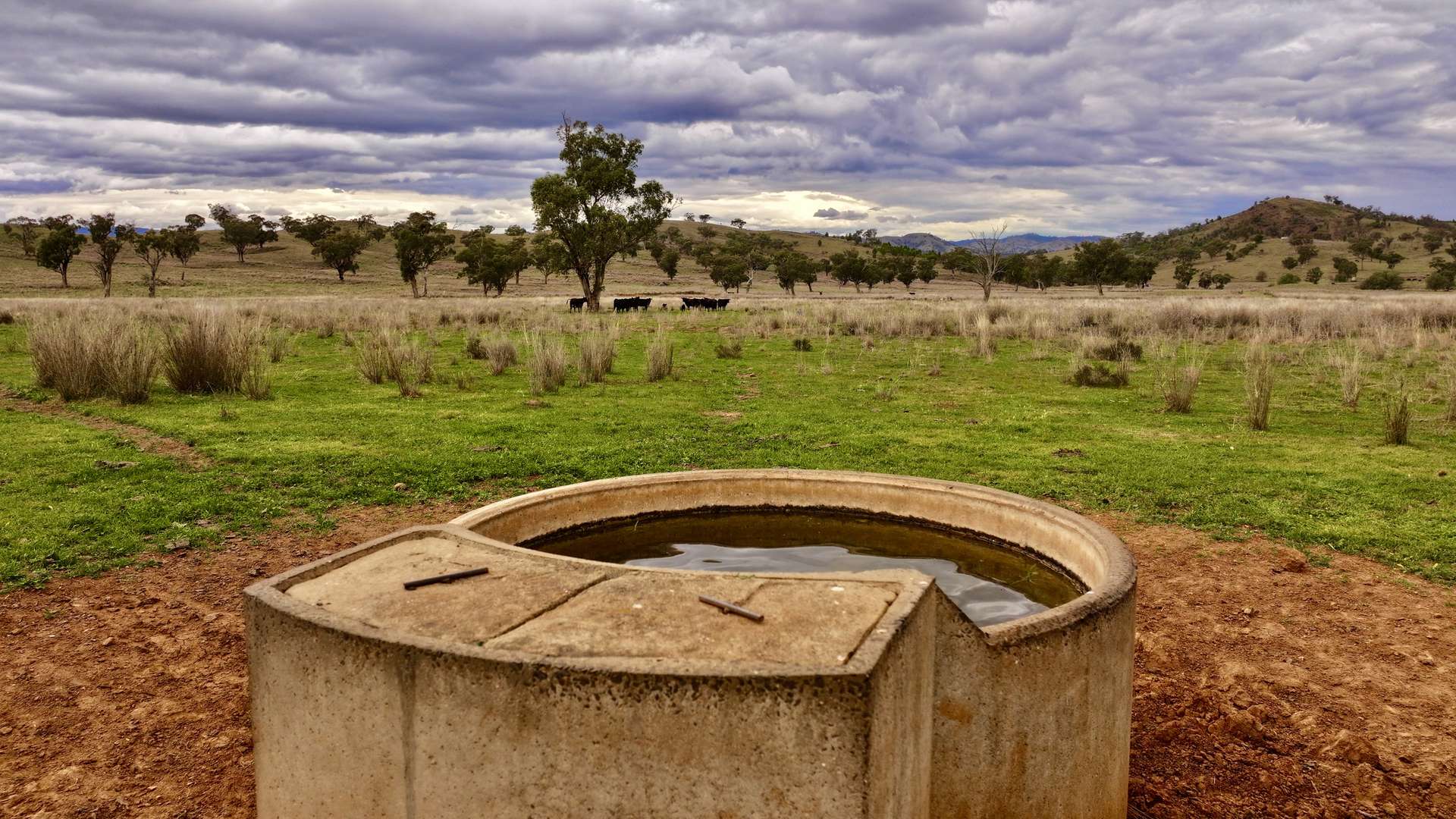 719 Namoi River Road, Namoi River For Sale by Farmbuy.com - image 11