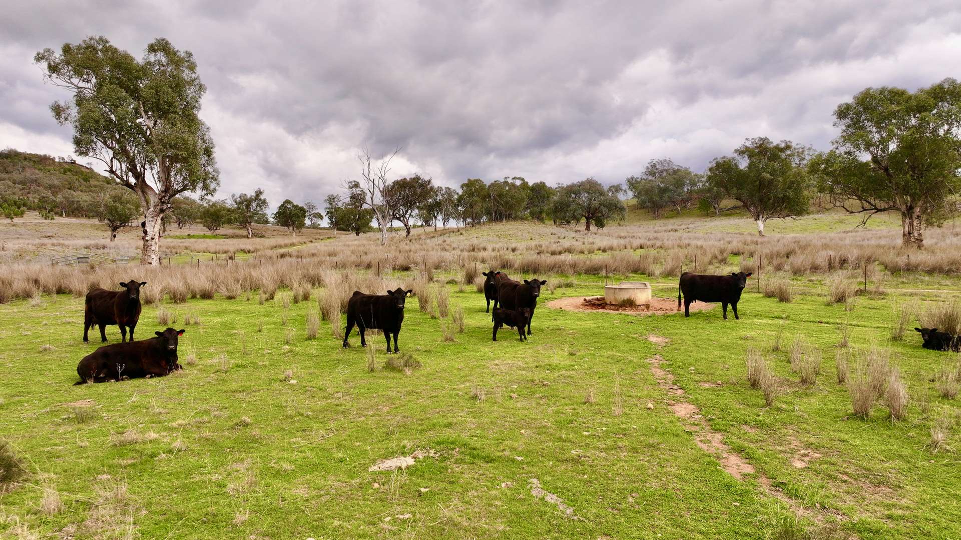 719 Namoi River Road, Namoi River For Sale by Farmbuy.com - image 23