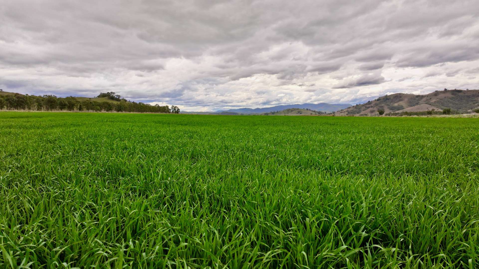 719 Namoi River Road, Namoi River For Sale by Farmbuy.com - image 4