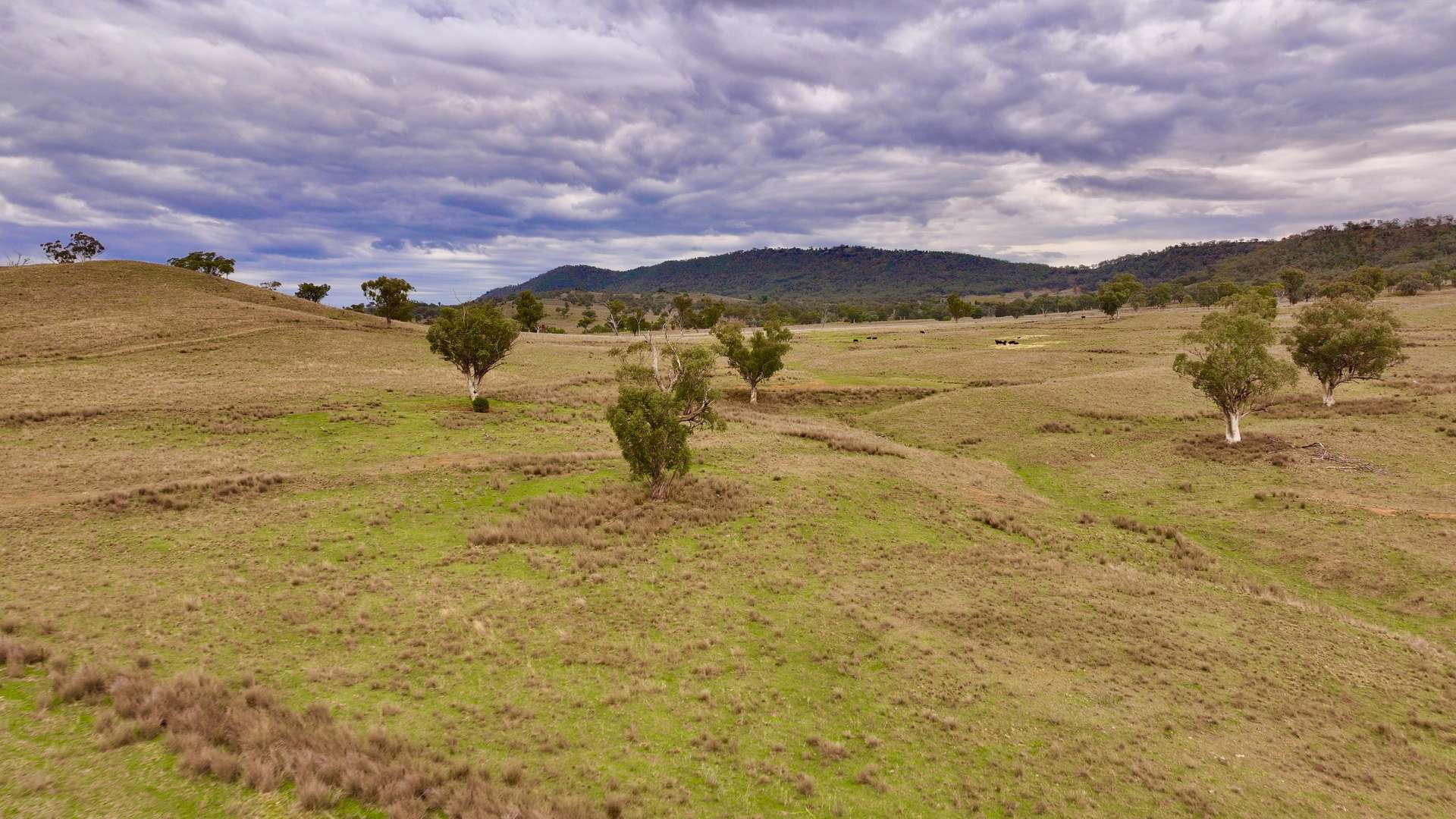 719 Namoi River Road, Namoi River For Sale by Farmbuy.com - image 19