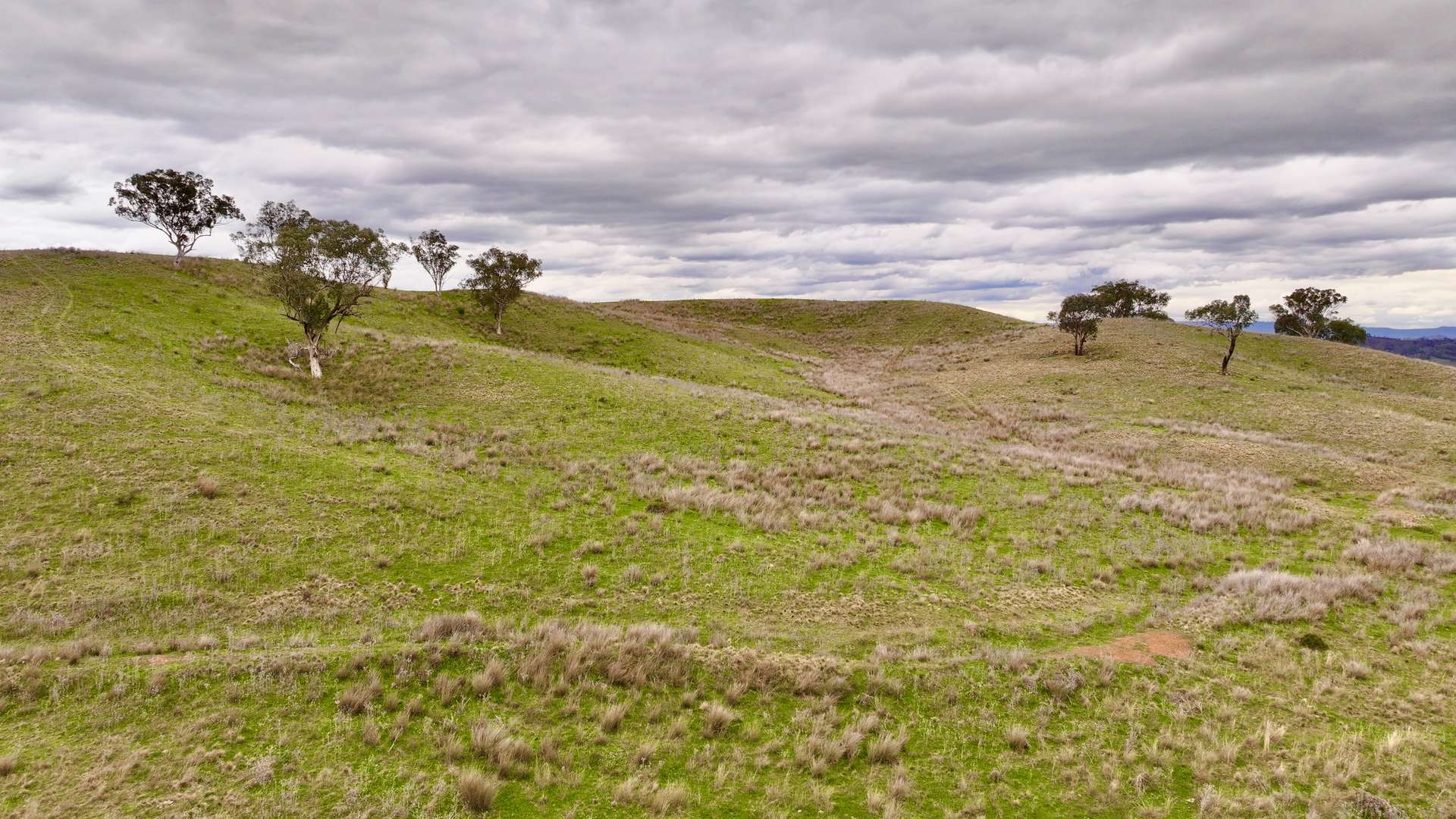 719 Namoi River Road, Namoi River For Sale by Farmbuy.com - image 18