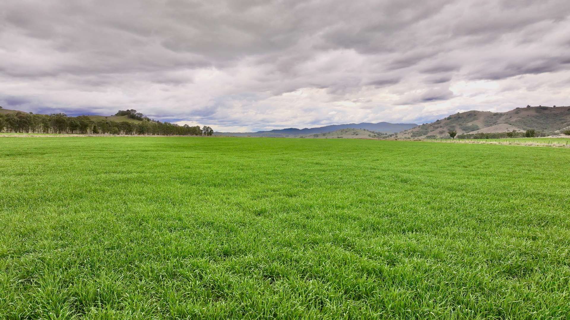 719 Namoi River Road, Namoi River For Sale by Farmbuy.com - image 3