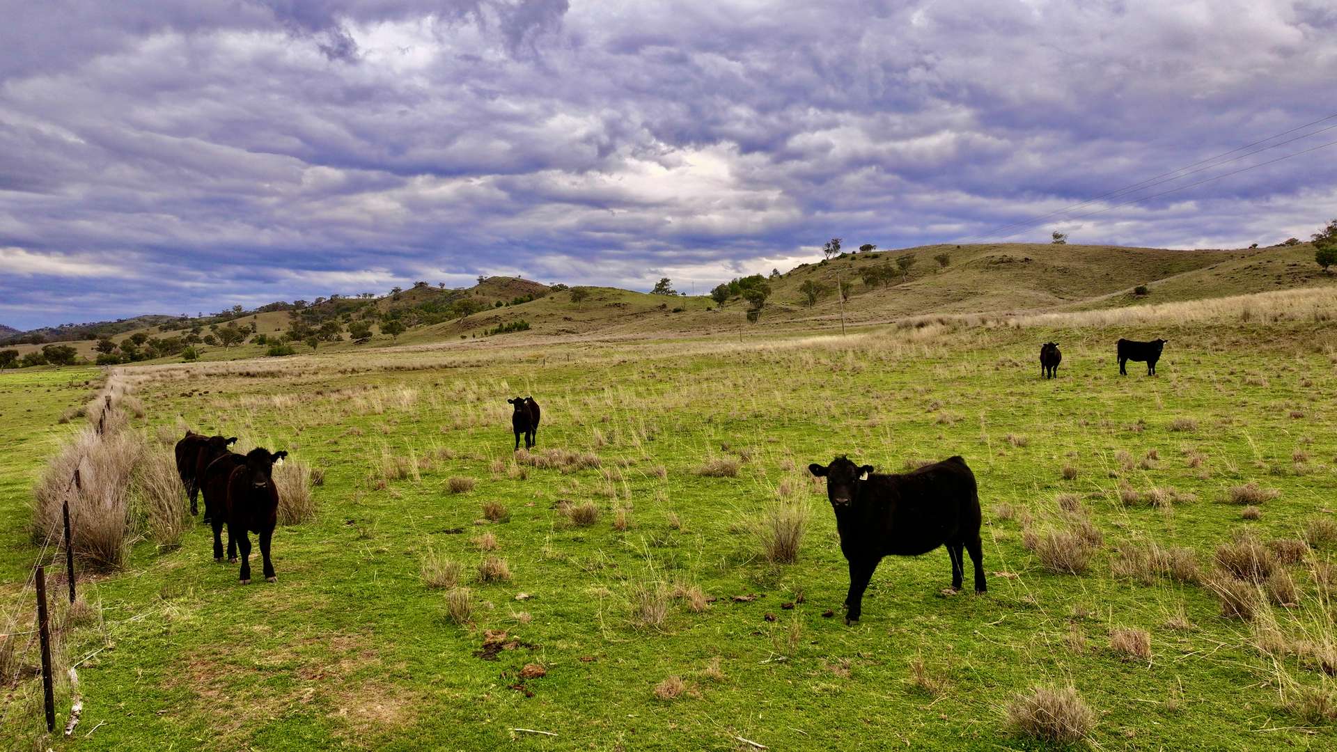 719 Namoi River Road, Namoi River For Sale by Farmbuy.com - image 17