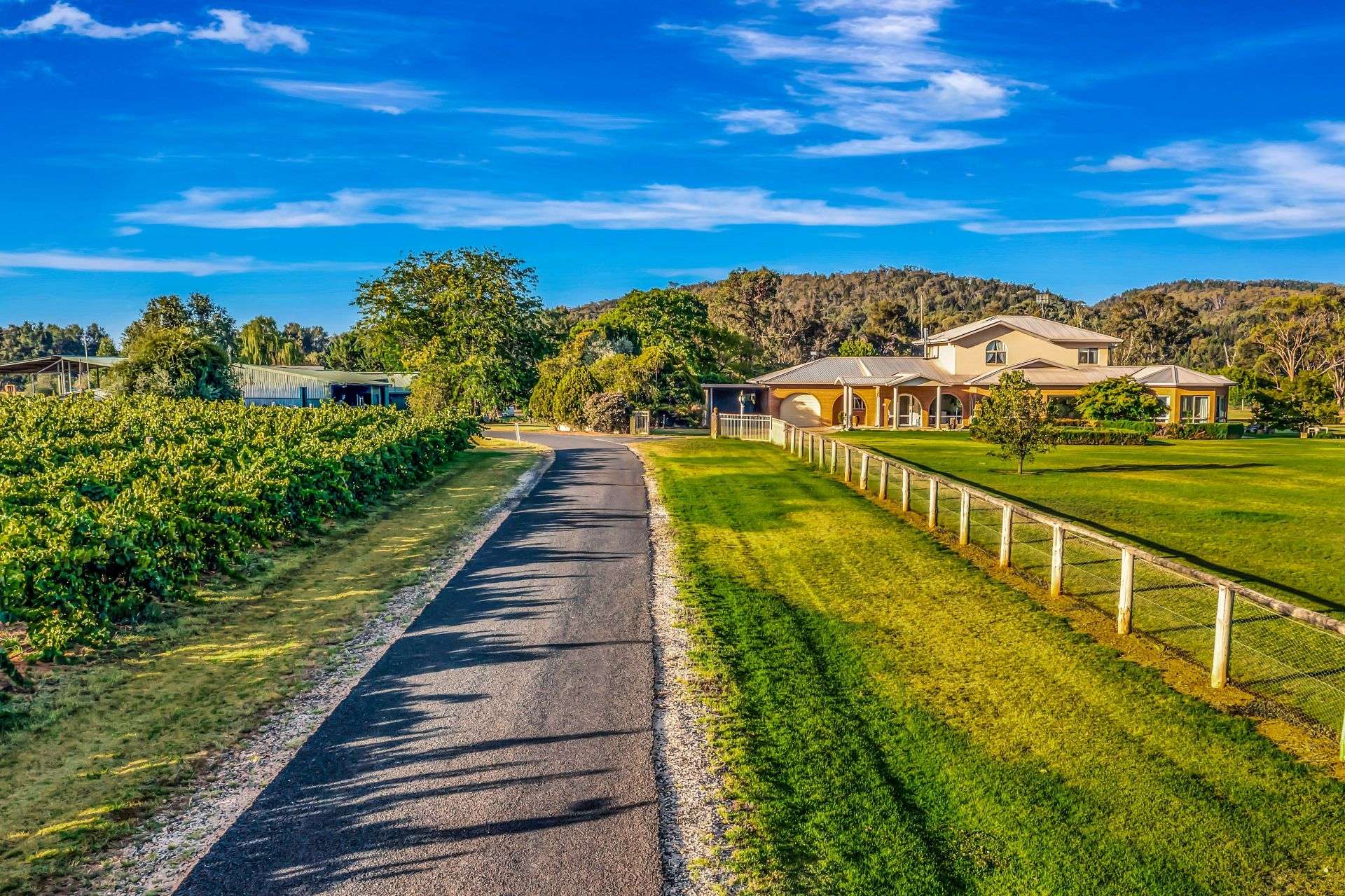 95 Eurunderee Lane, Mudgee Auction by Farmbuy.com - image 14