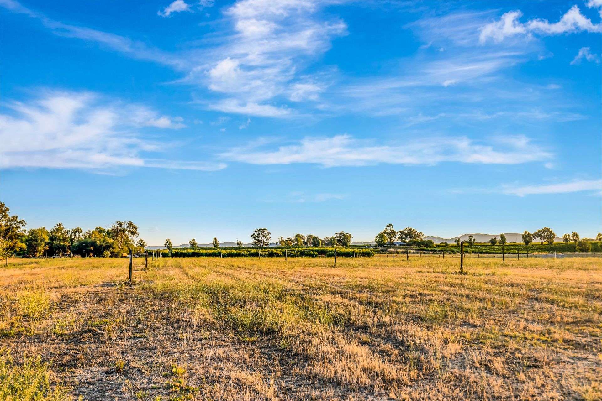 95 Eurunderee Lane, Mudgee Auction by Farmbuy.com - image 13