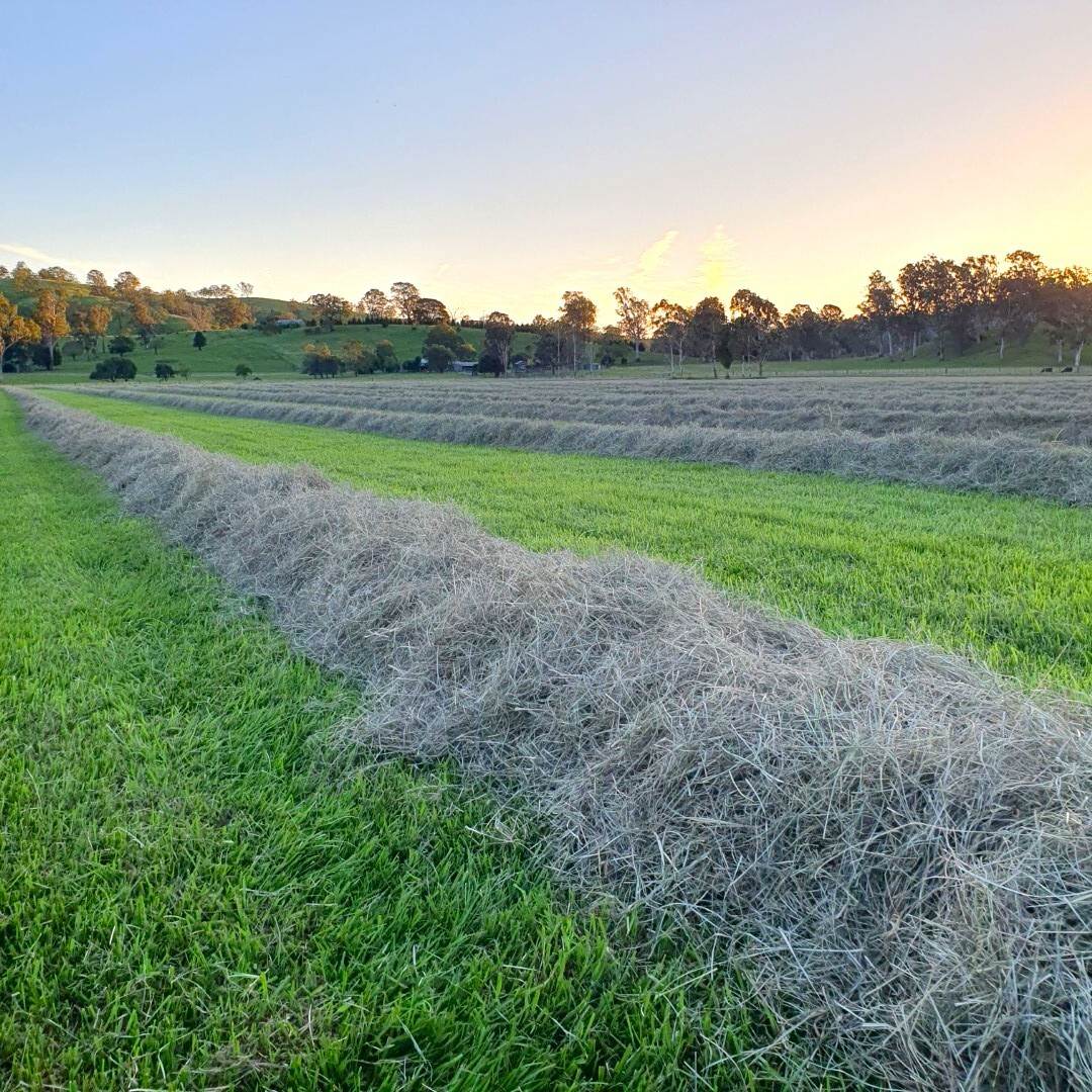 135 Killaloe Road, Kyogle For Sale by Farmbuy.com - image 8