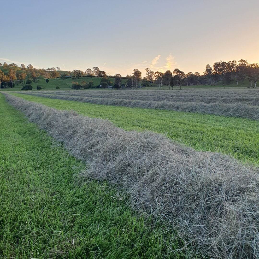 135 Killaloe Road, Kyogle For Sale by Farmbuy.com - image 8