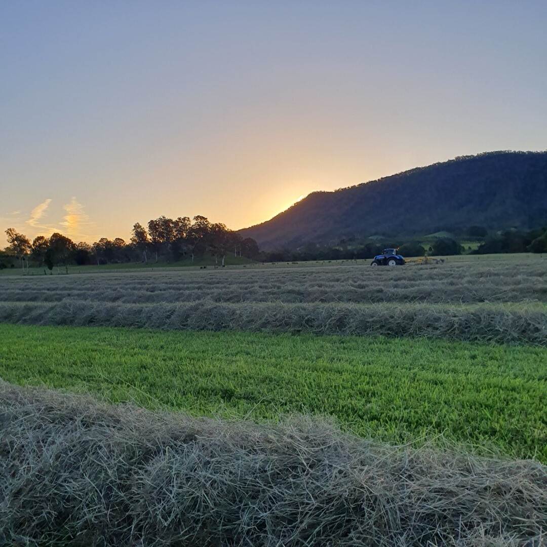 135 Killaloe Road, Kyogle For Sale by Farmbuy.com - image 7