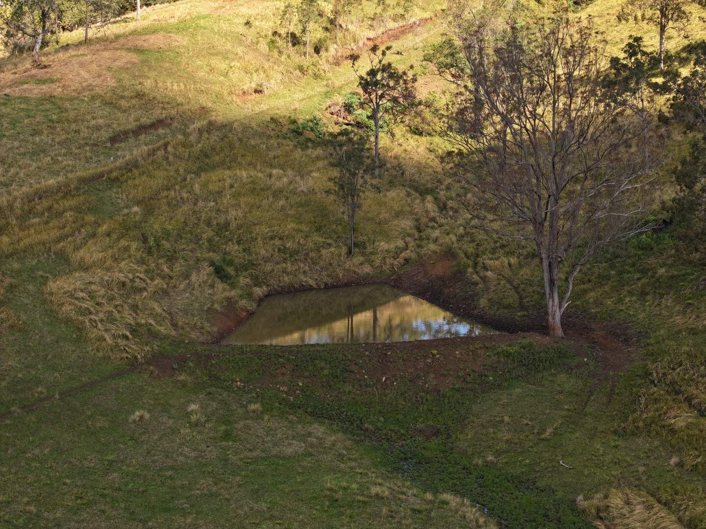 135 Killaloe Road, Kyogle For Sale by Farmbuy.com - image 15