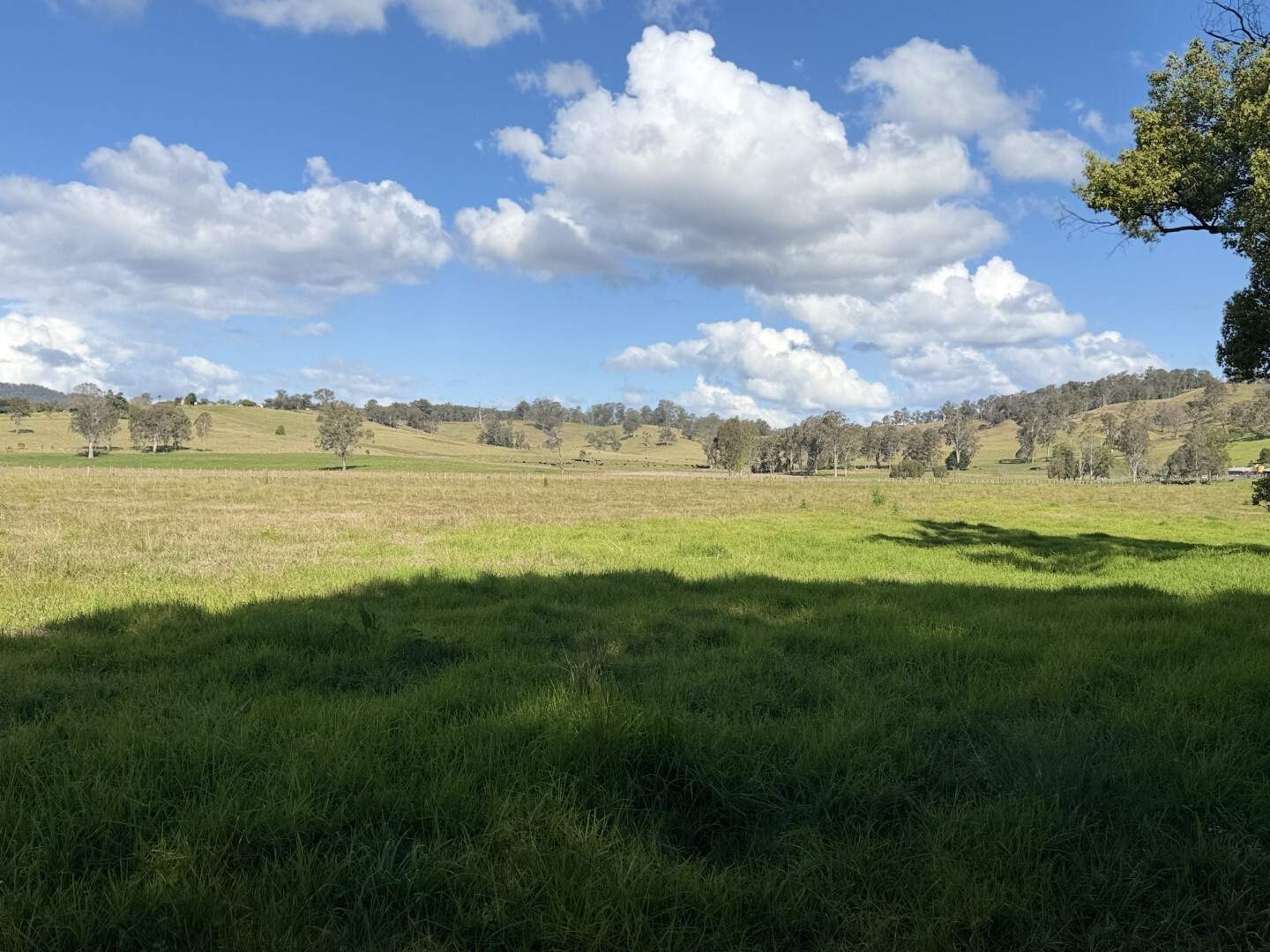135 Killaloe Road, Kyogle For Sale by Farmbuy.com - image 13