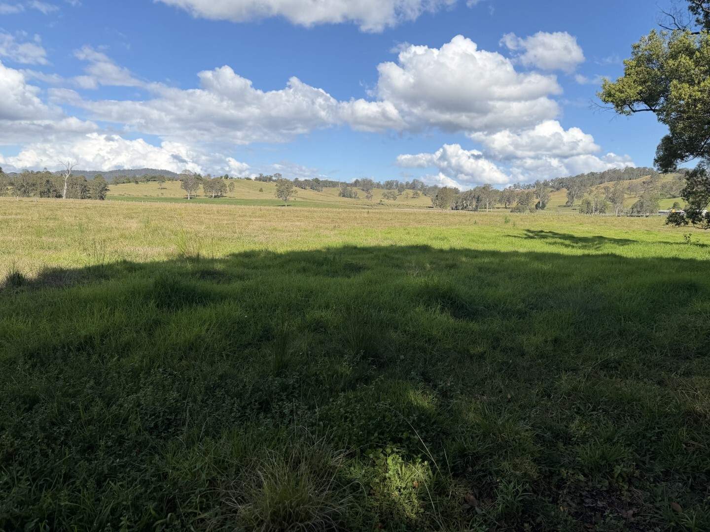 135 Killaloe Road, Kyogle For Sale by Farmbuy.com - image 13