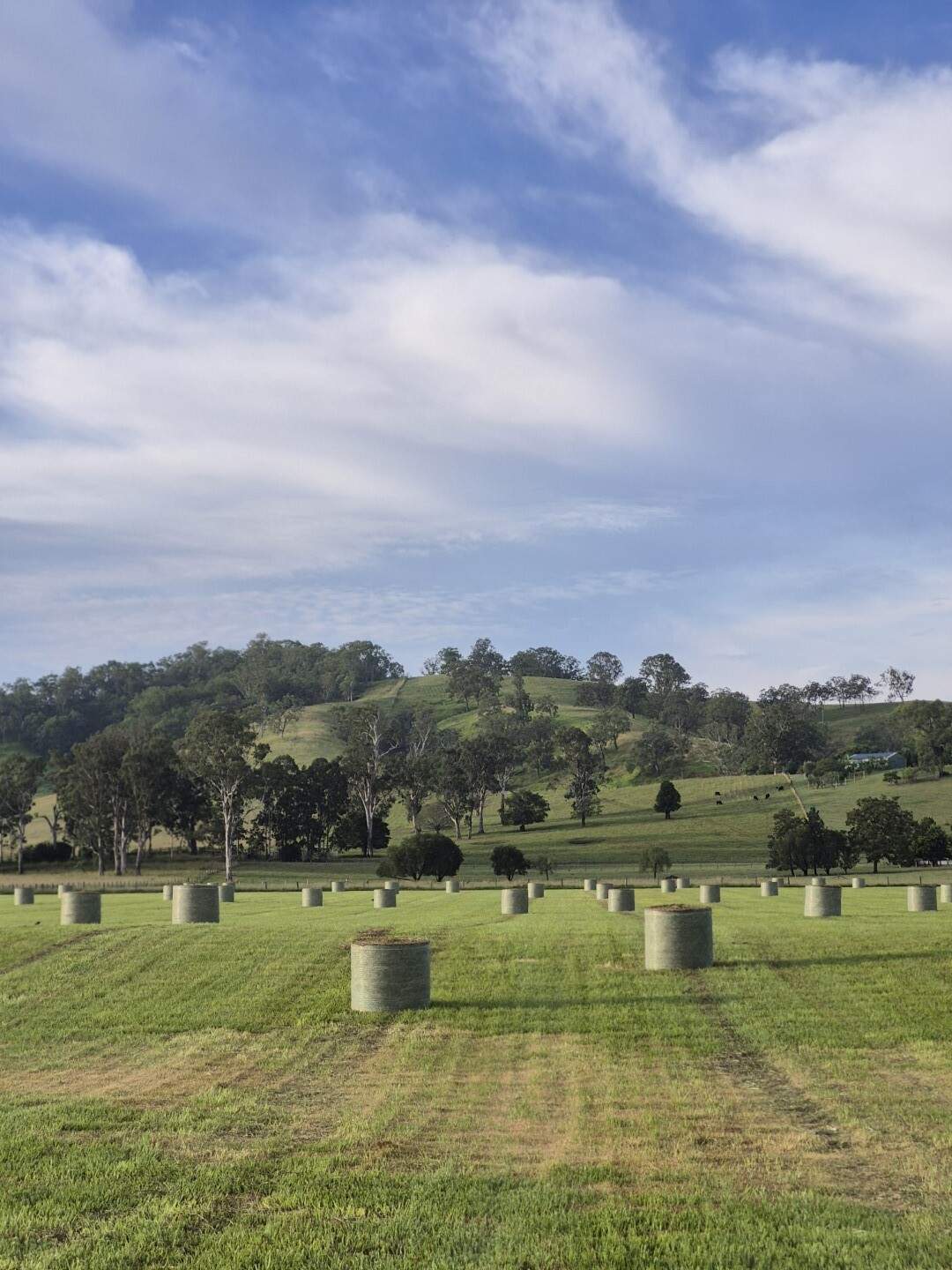 135 Killaloe Road, Kyogle For Sale by Farmbuy.com - image 11