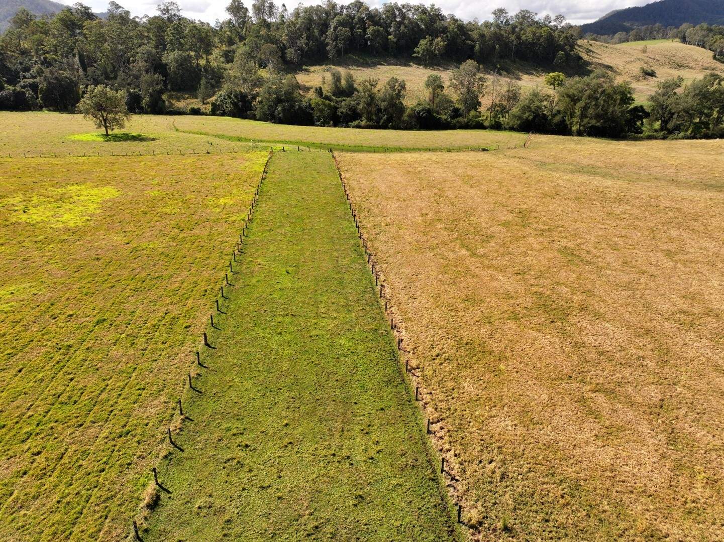 135 Killaloe Road, Kyogle For Sale by Farmbuy.com - image 14