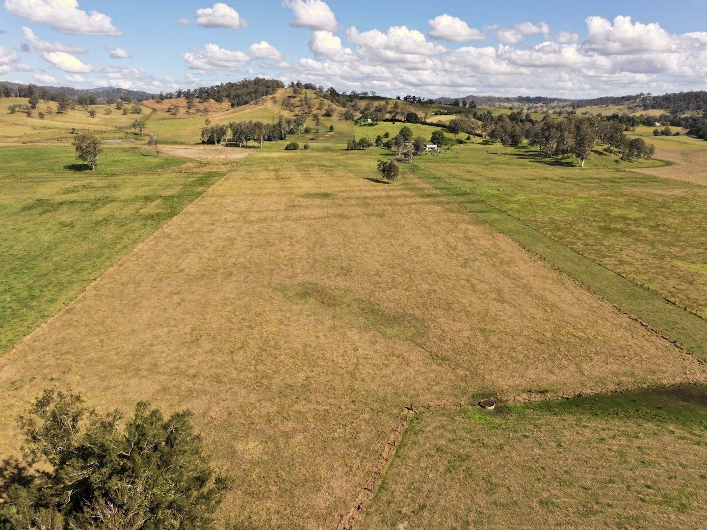 135 Killaloe Road, Kyogle For Sale by Farmbuy.com - image 2