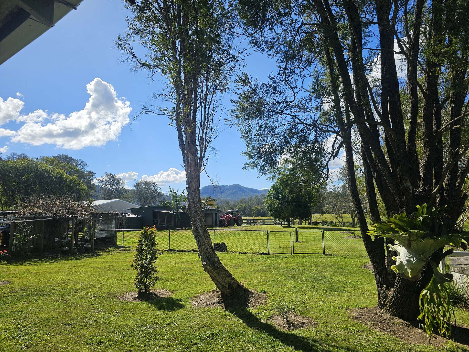 135 Killaloe Road, Kyogle For Sale by Farmbuy.com - image 33