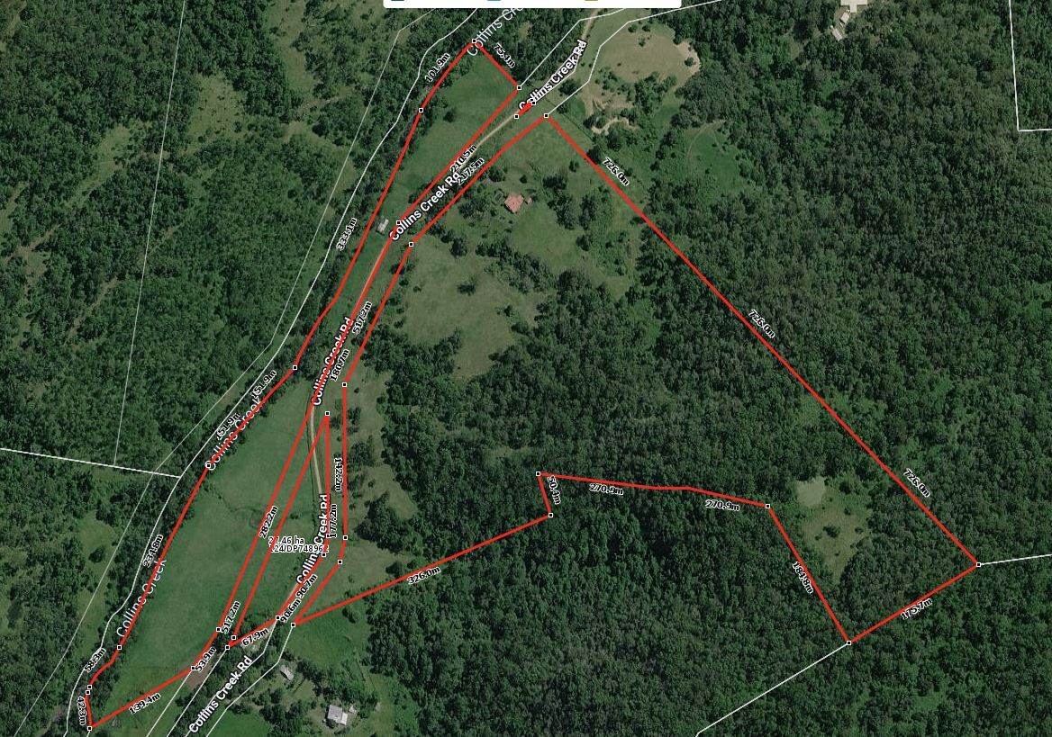 2134 Collins Creek Road, Kyogle For Sale by Farmbuy.com - image 29