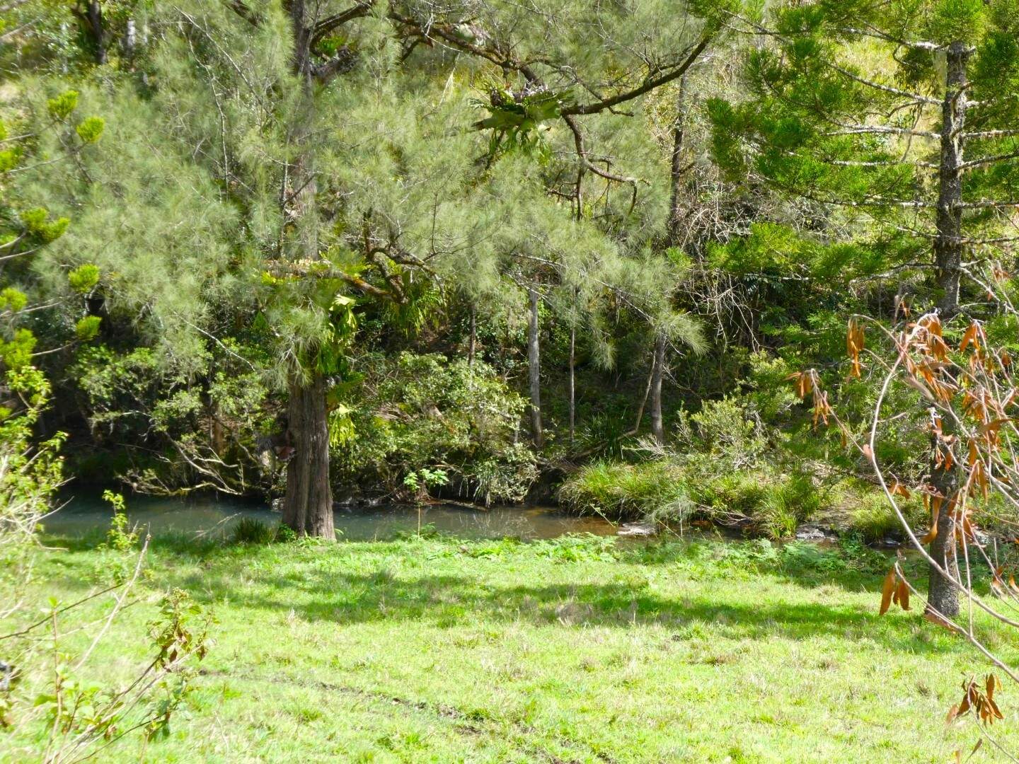 2134 Collins Creek Road, Kyogle For Sale by Farmbuy.com - image 9