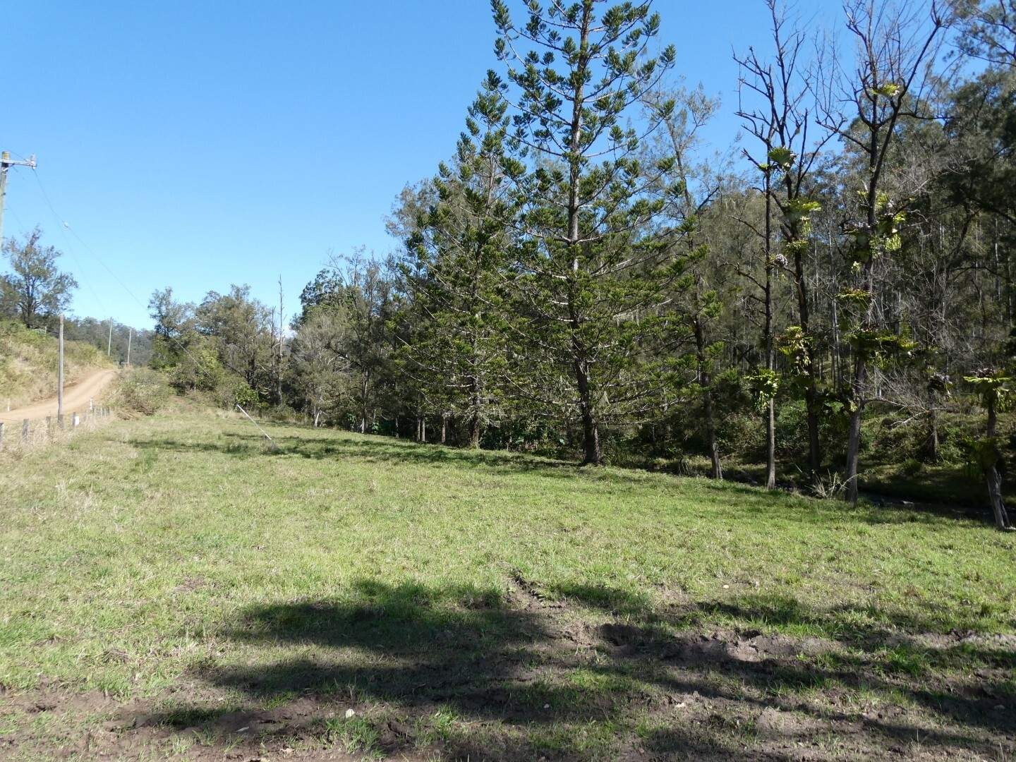 2134 Collins Creek Road, Kyogle For Sale by Farmbuy.com - image 6
