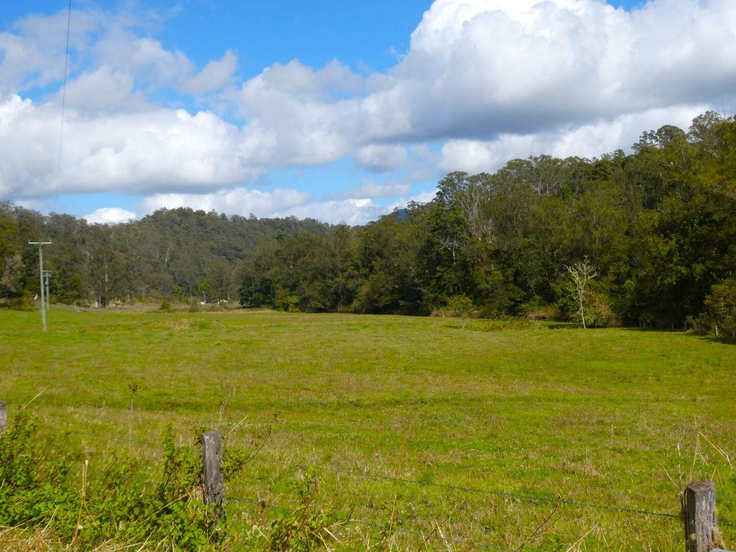 2134 Collins Creek Road, Kyogle For Sale by Farmbuy.com - image 10