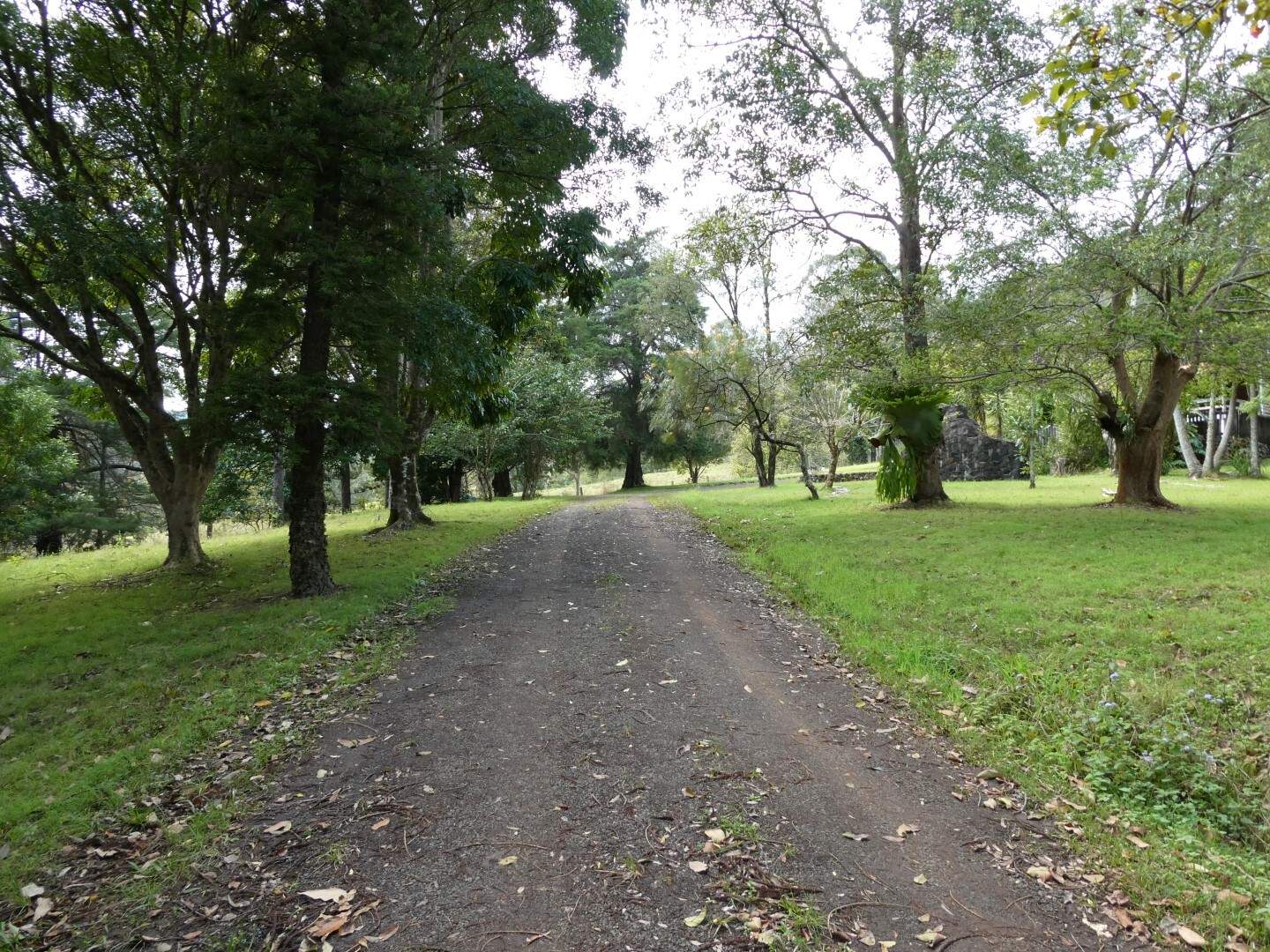 2134 Collins Creek Road, Kyogle For Sale by Farmbuy.com - image 25