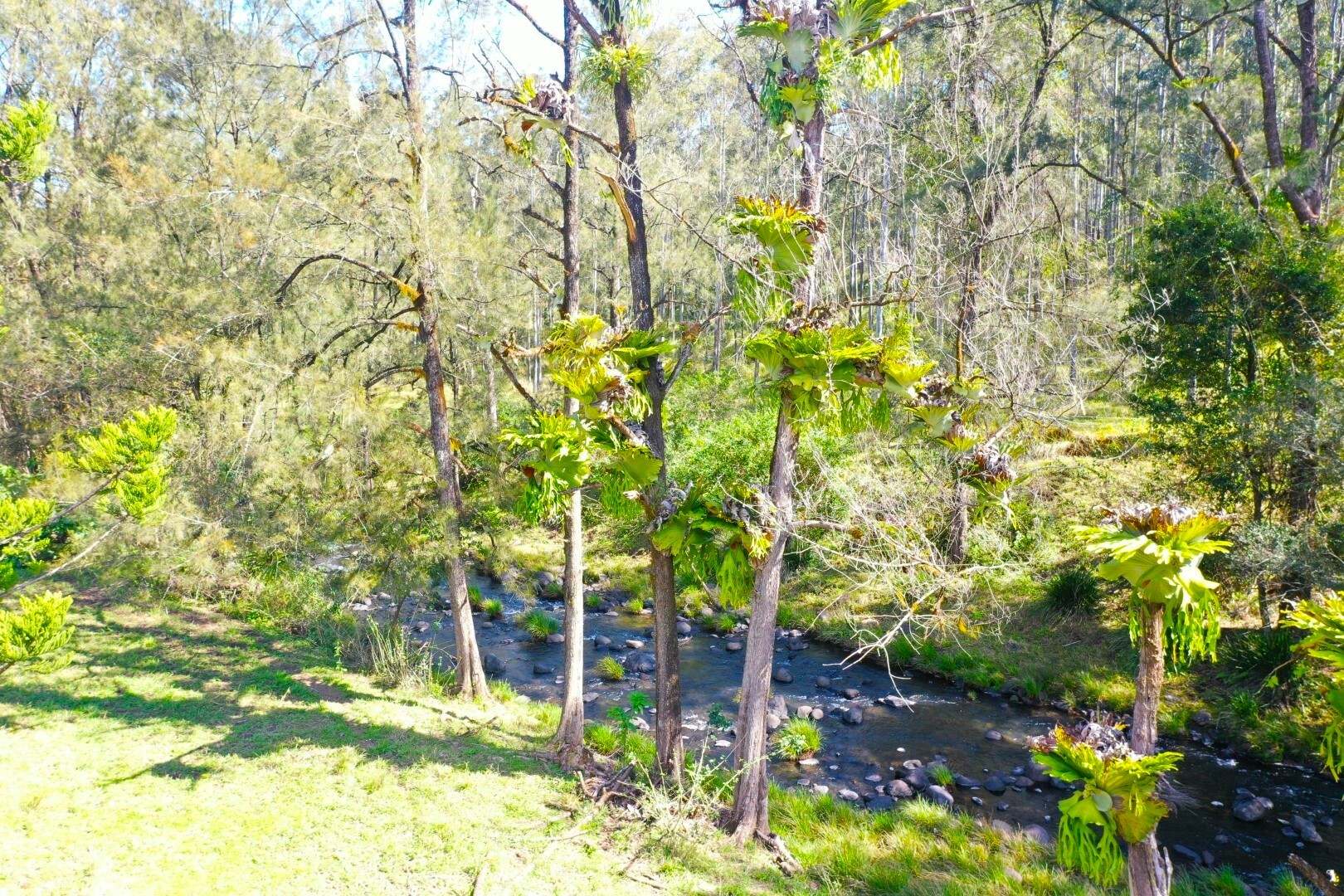 2134 Collins Creek Road, Kyogle For Sale by Farmbuy.com - image 4