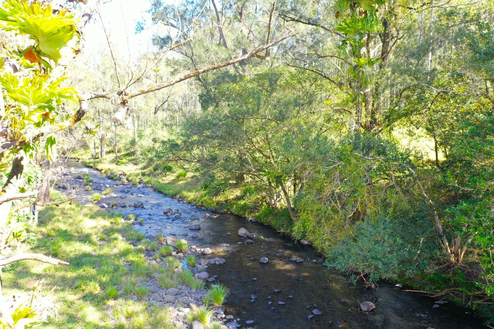 2134 Collins Creek Road, Kyogle For Sale by Farmbuy.com - image 2