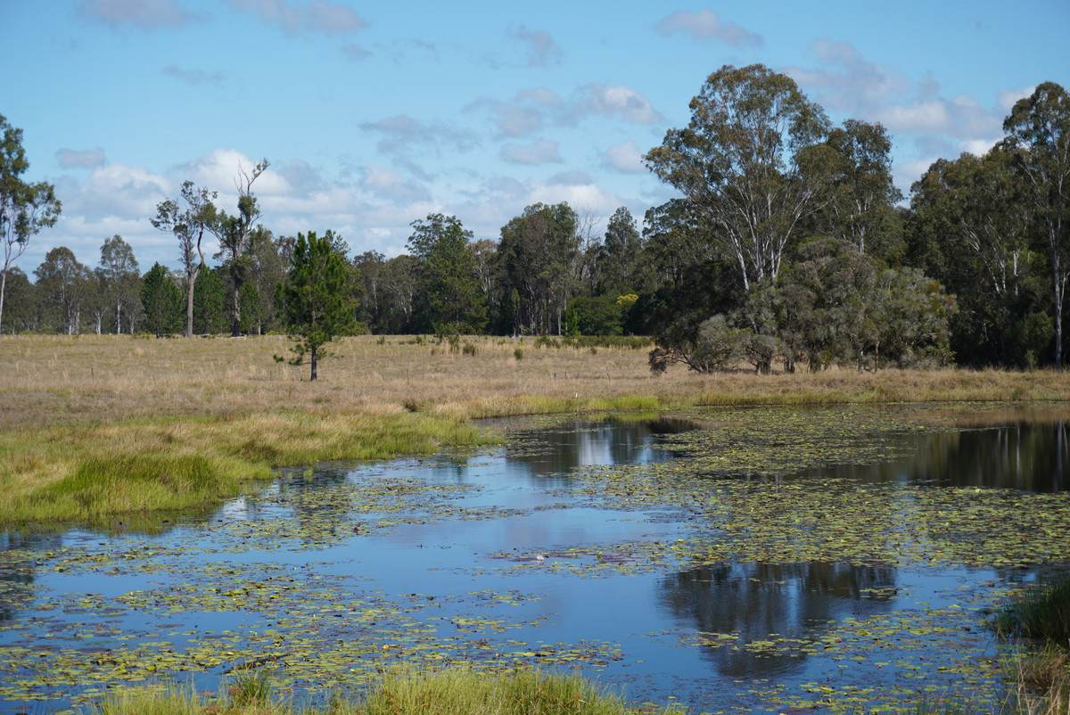 3560 Bungawalbin Whiporie Road, Gibberagee For Sale by Farmbuy.com - image 30