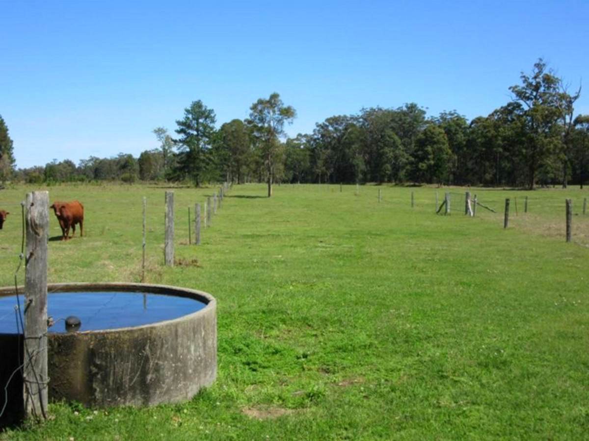 3560 Bungawalbin Whiporie Road, Gibberagee For Sale by Farmbuy.com - image 34