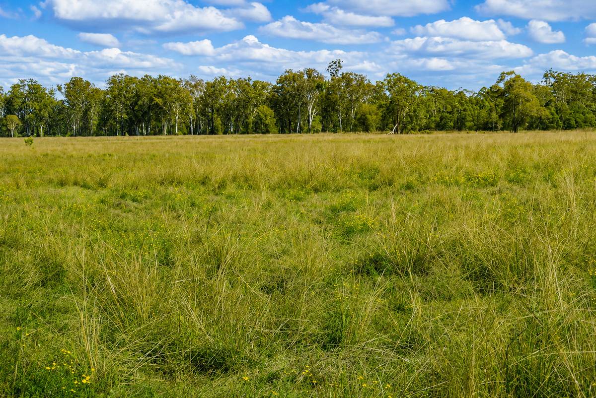 3560 Bungawalbin Whiporie Road, Gibberagee For Sale by Farmbuy.com - image 20
