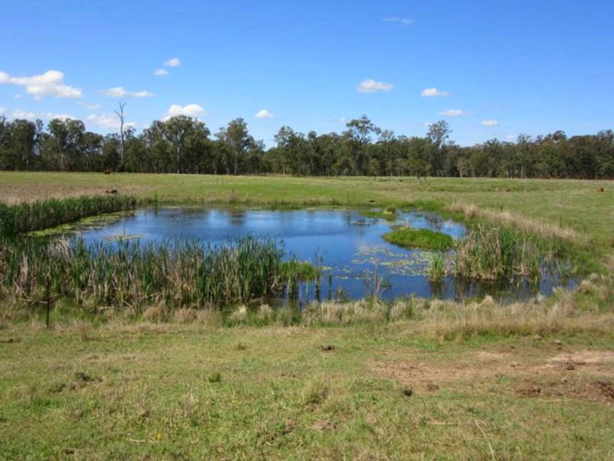 3560 Bungawalbin Whiporie Road, Gibberagee For Sale by Farmbuy.com - image 31