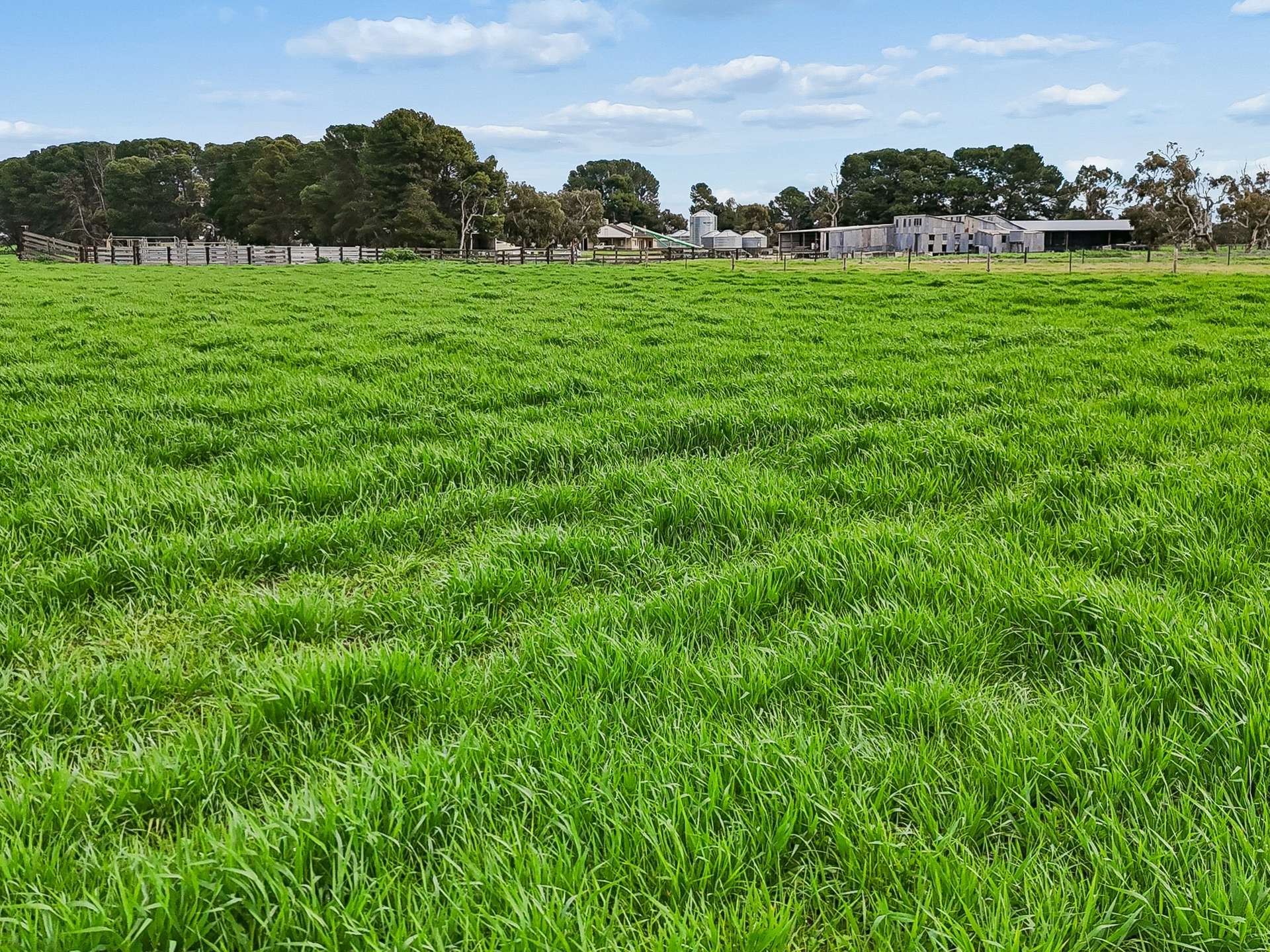 103 & 314 Filmer Road, Tintinara For Sale by Farmbuy.com - image 9