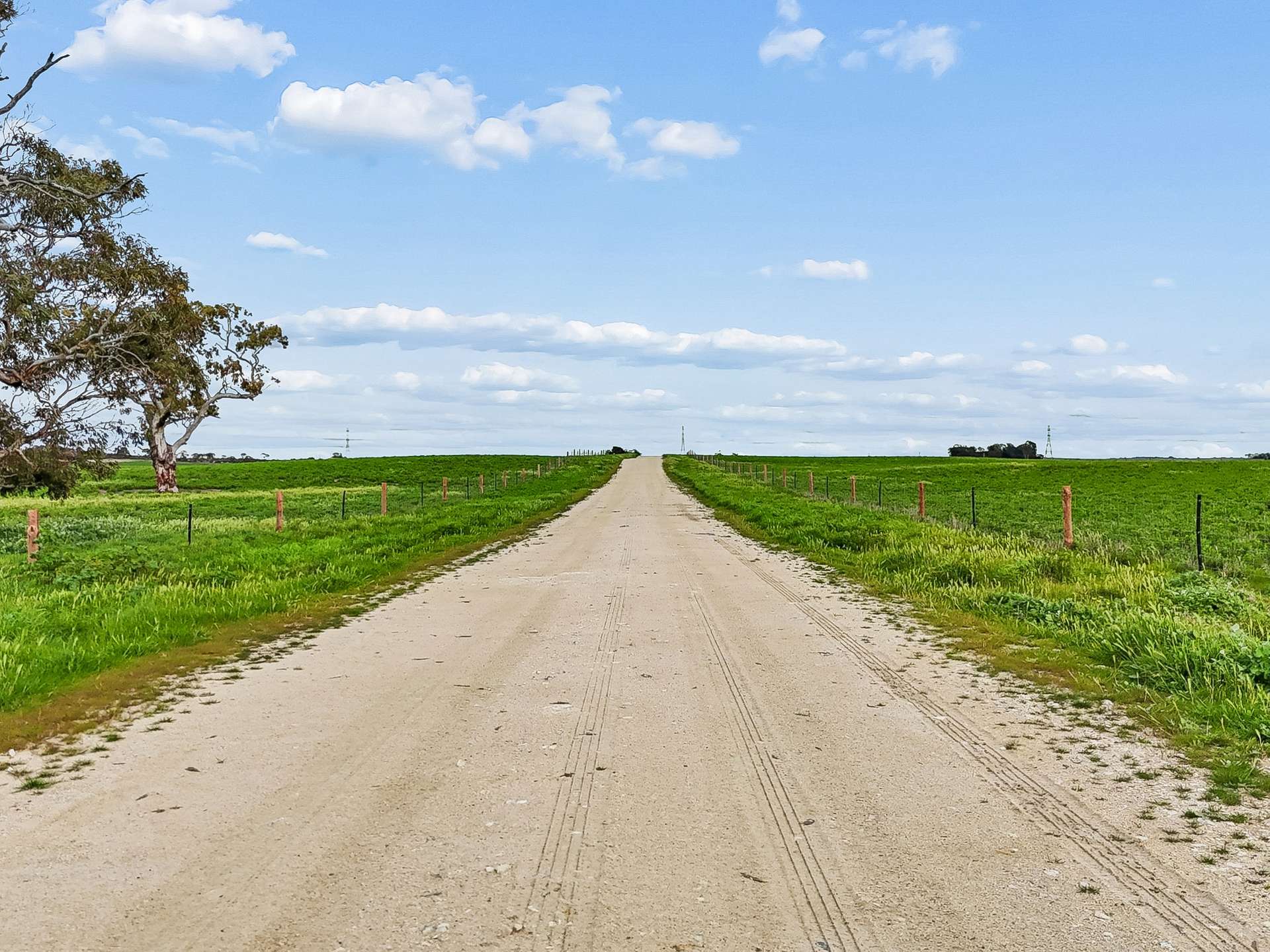 103 & 314 Filmer Road, Tintinara For Sale by Farmbuy.com - image 7