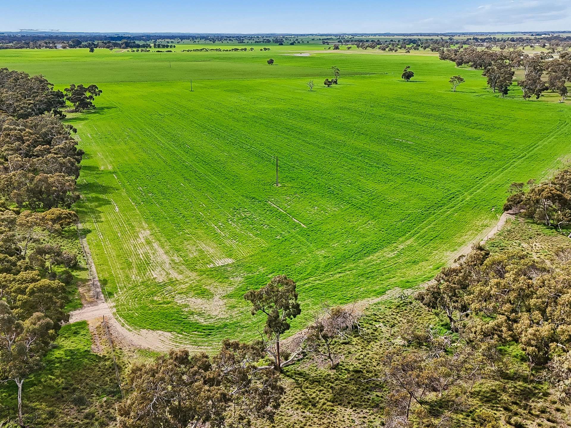 103 & 314 Filmer Road, Tintinara For Sale by Farmbuy.com - image 4