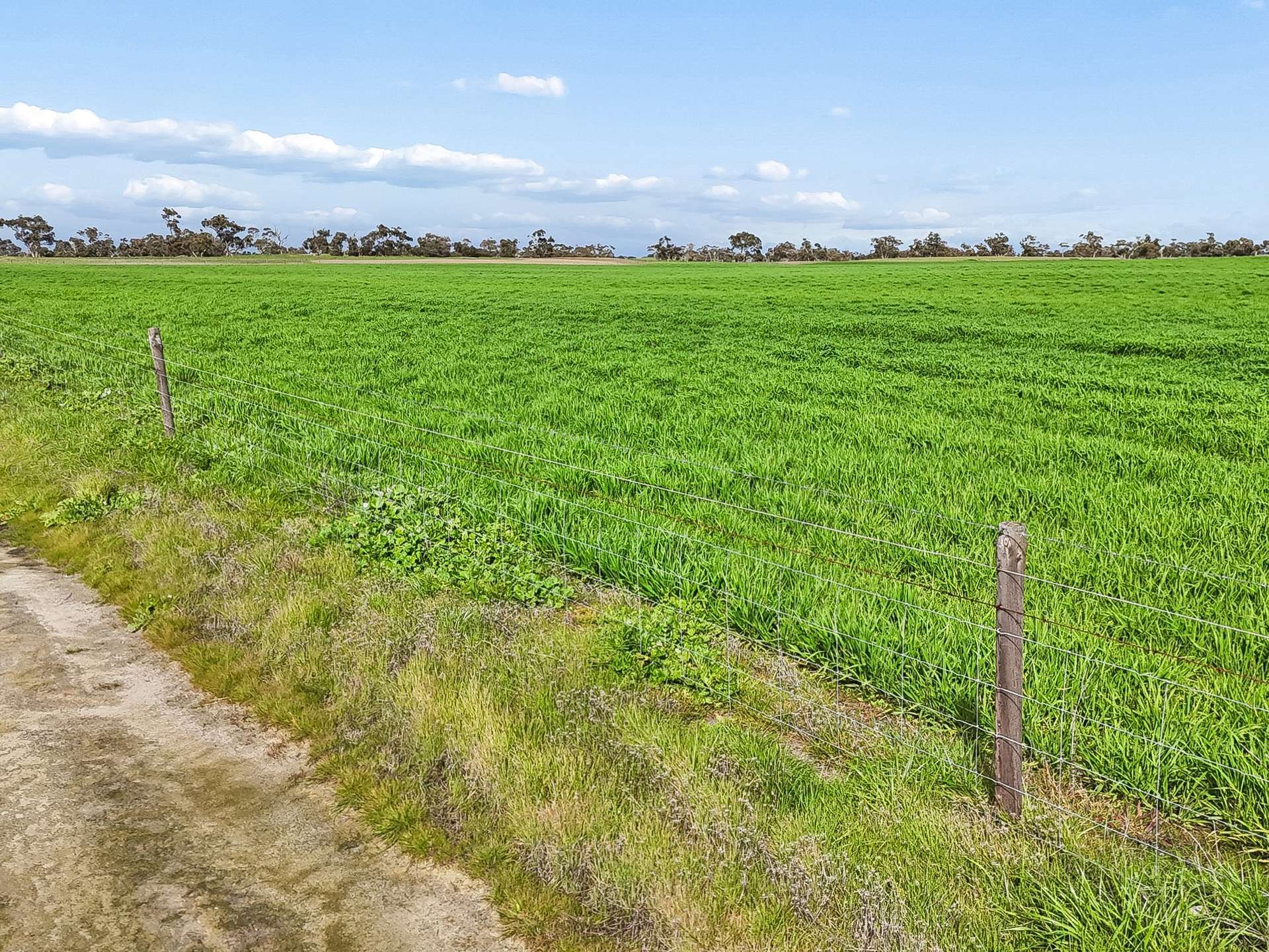 103 & 314 Filmer Road, Tintinara For Sale by Farmbuy.com - image 8