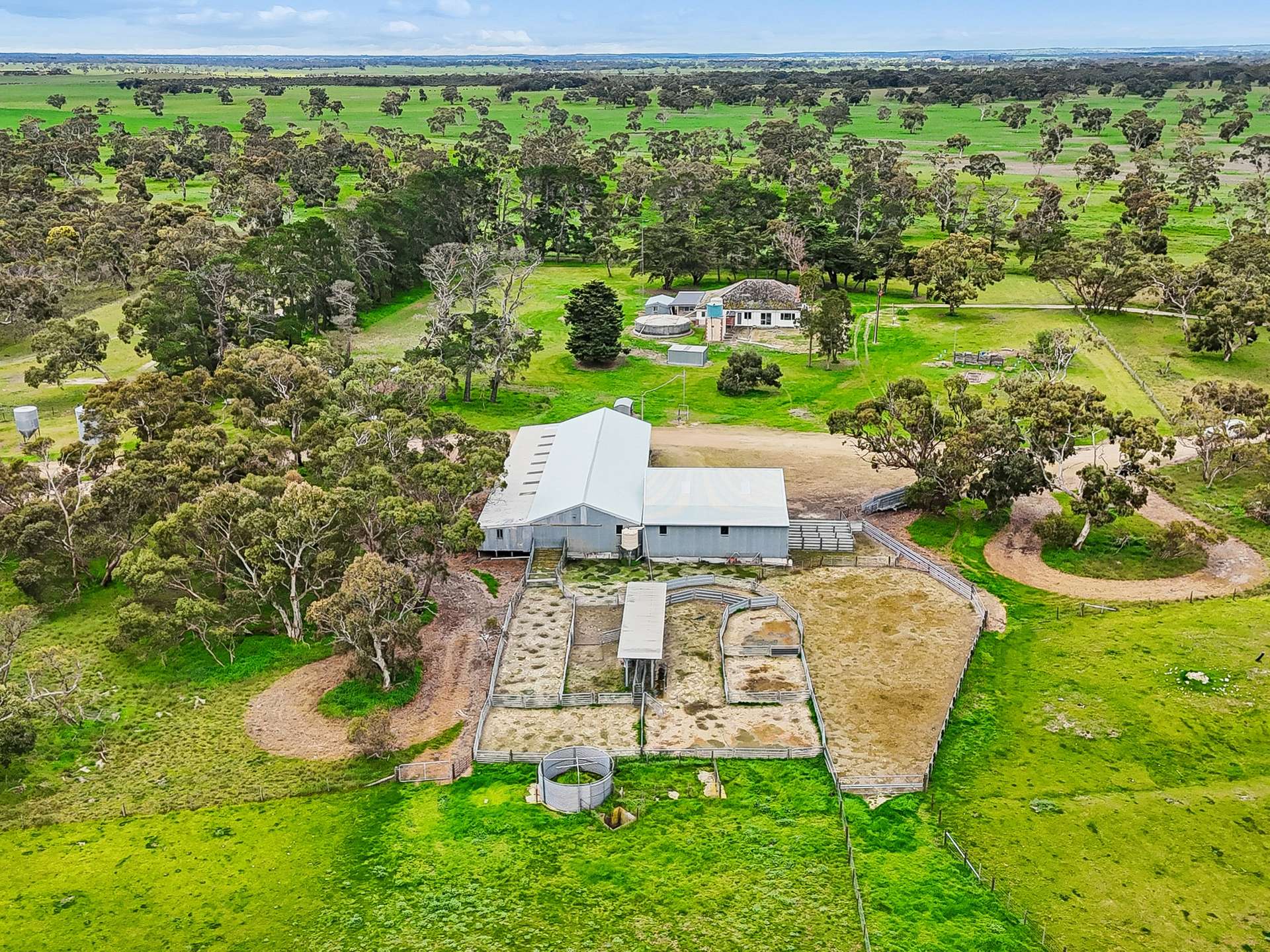 103 & 314 Filmer Road, Tintinara For Sale by Farmbuy.com - image 6