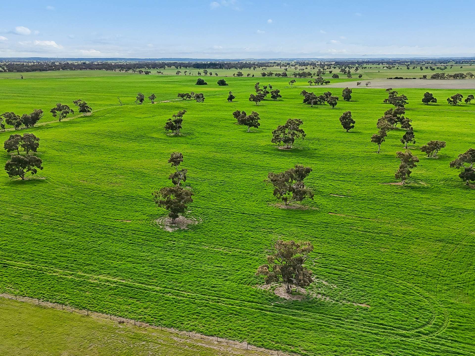 103 & 314 Filmer Road, Tintinara For Sale by Farmbuy.com - image 12