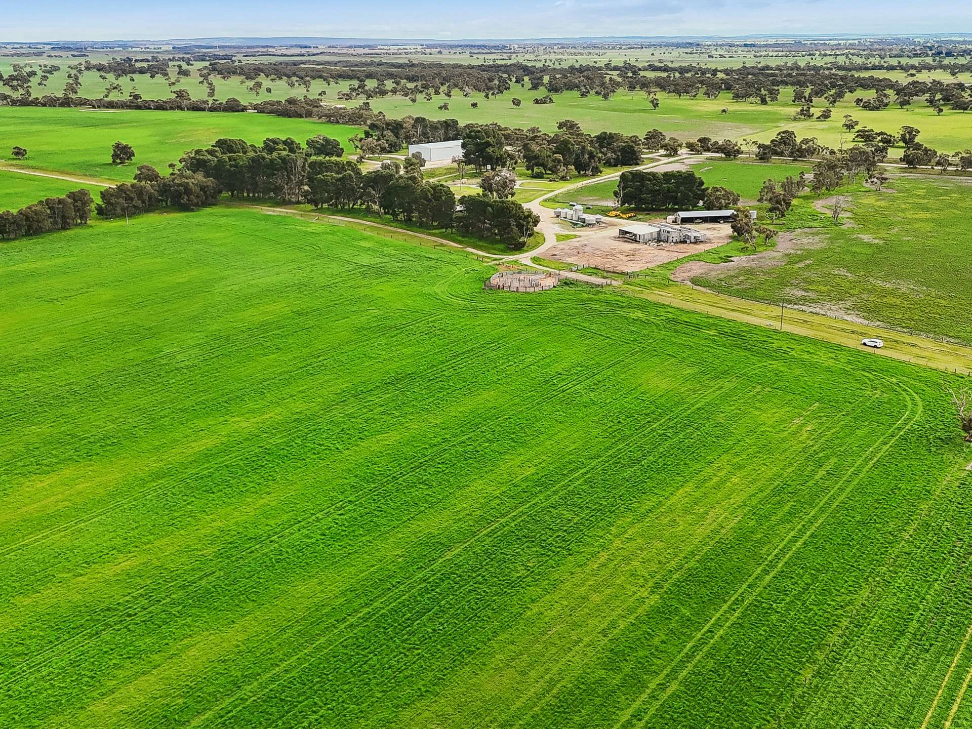 103 & 314 Filmer Road, Tintinara For Sale by Farmbuy.com - image 2