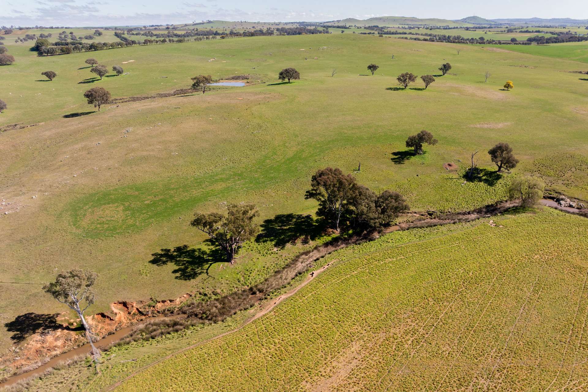 264 Harrys Creek Road, Boorowa For Sale by Farmbuy.com - image 17