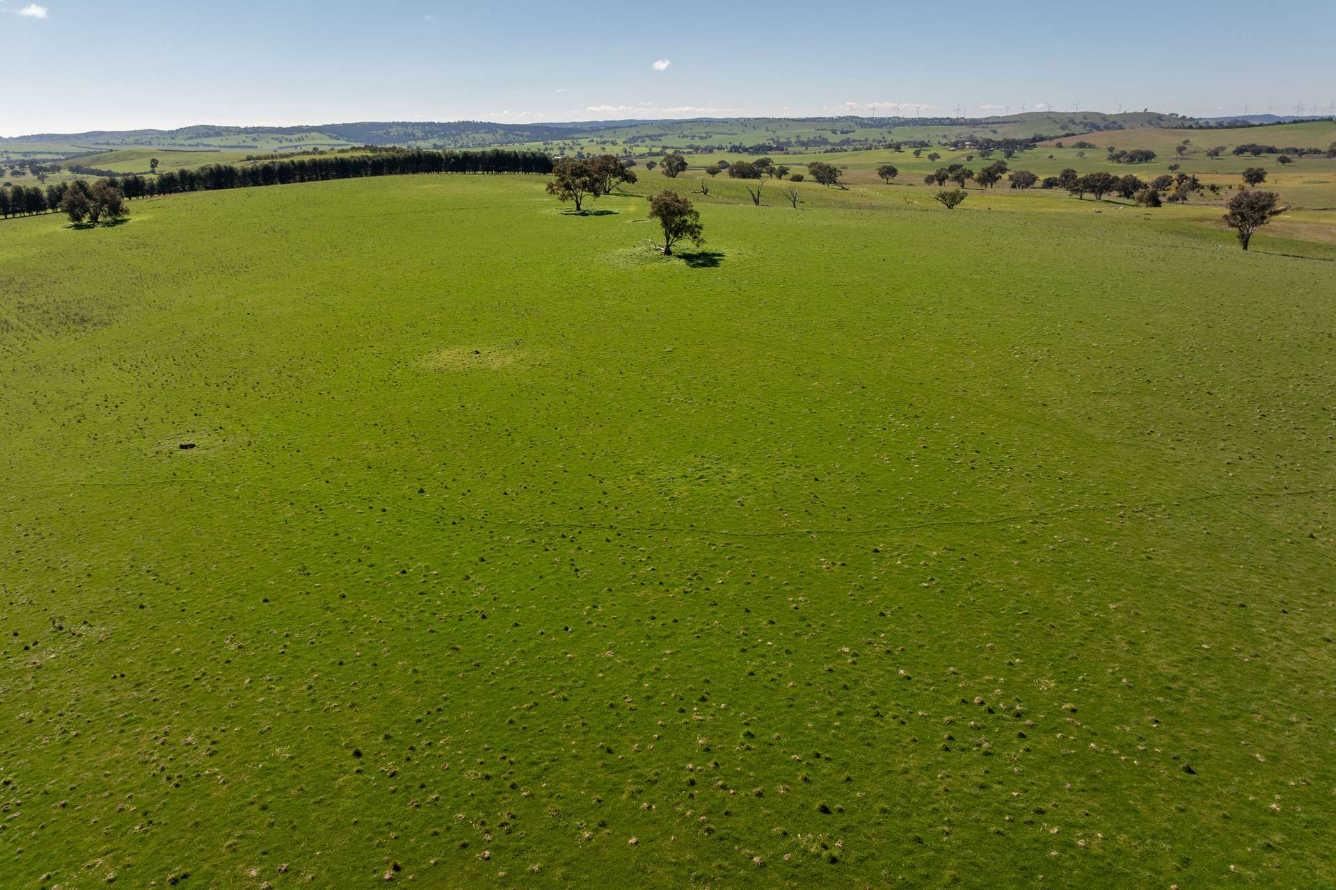 264 Harrys Creek Road, Boorowa For Sale by Farmbuy.com - image 3